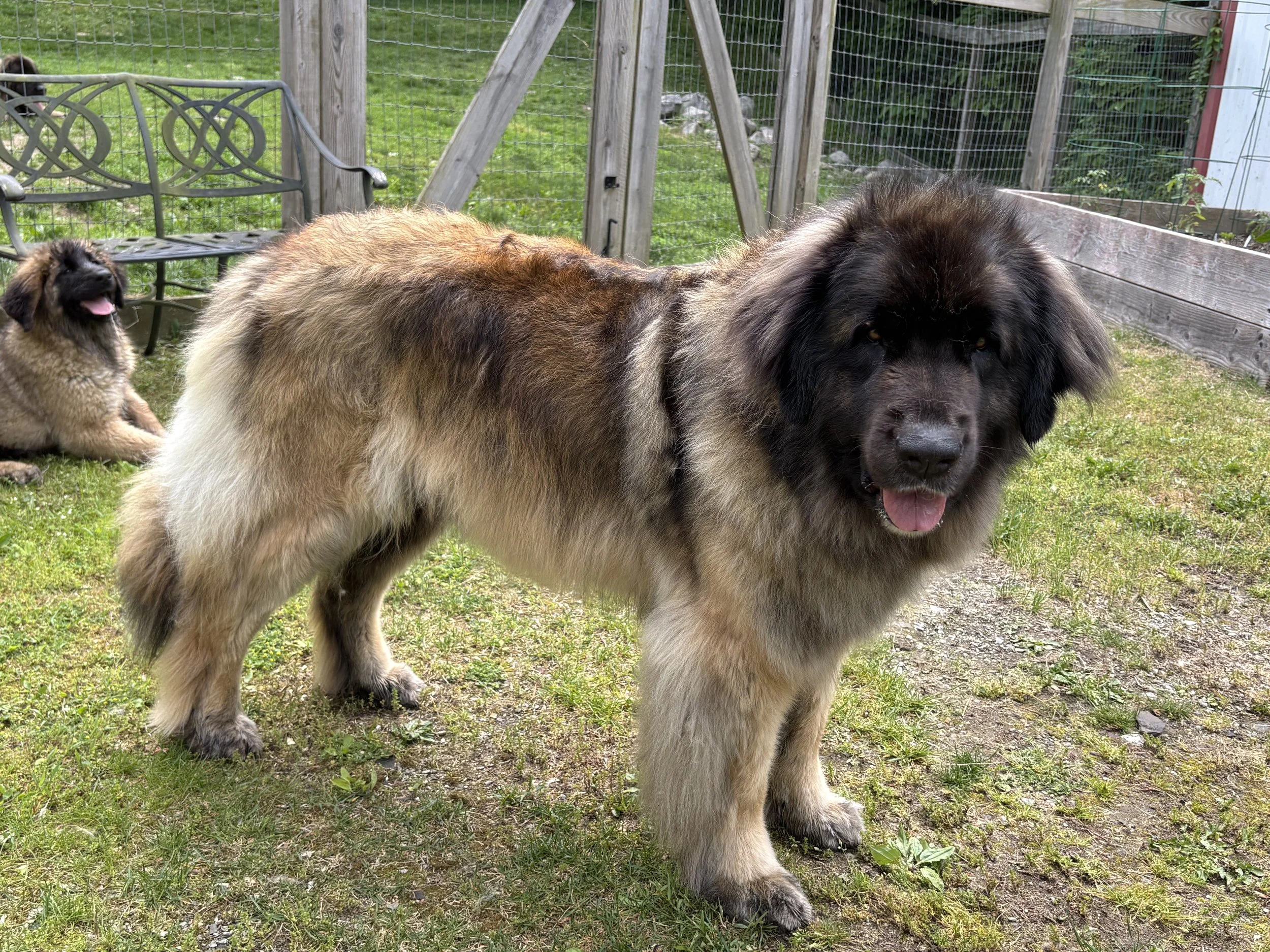 4 yrs 8 mos