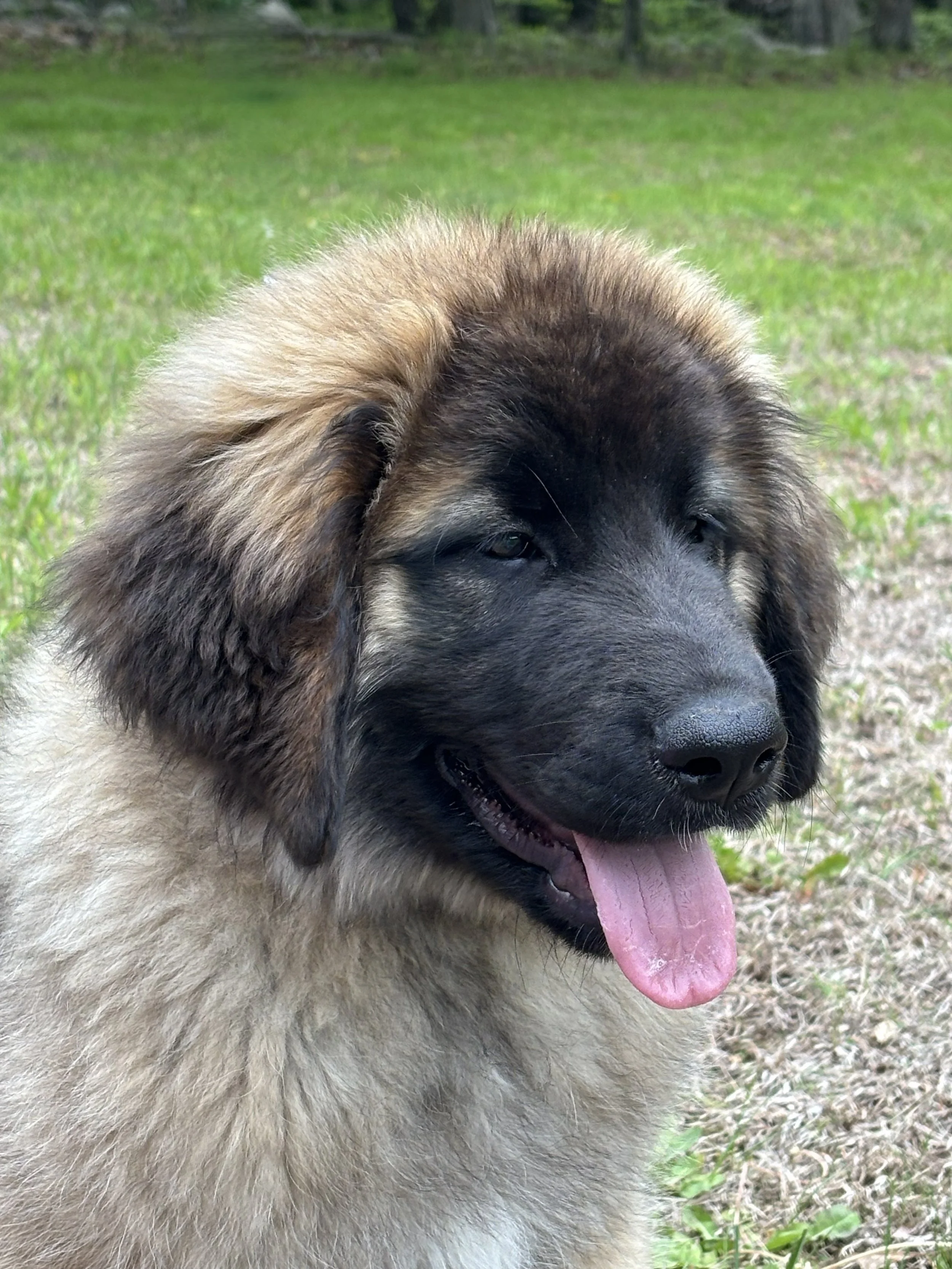 4 mos