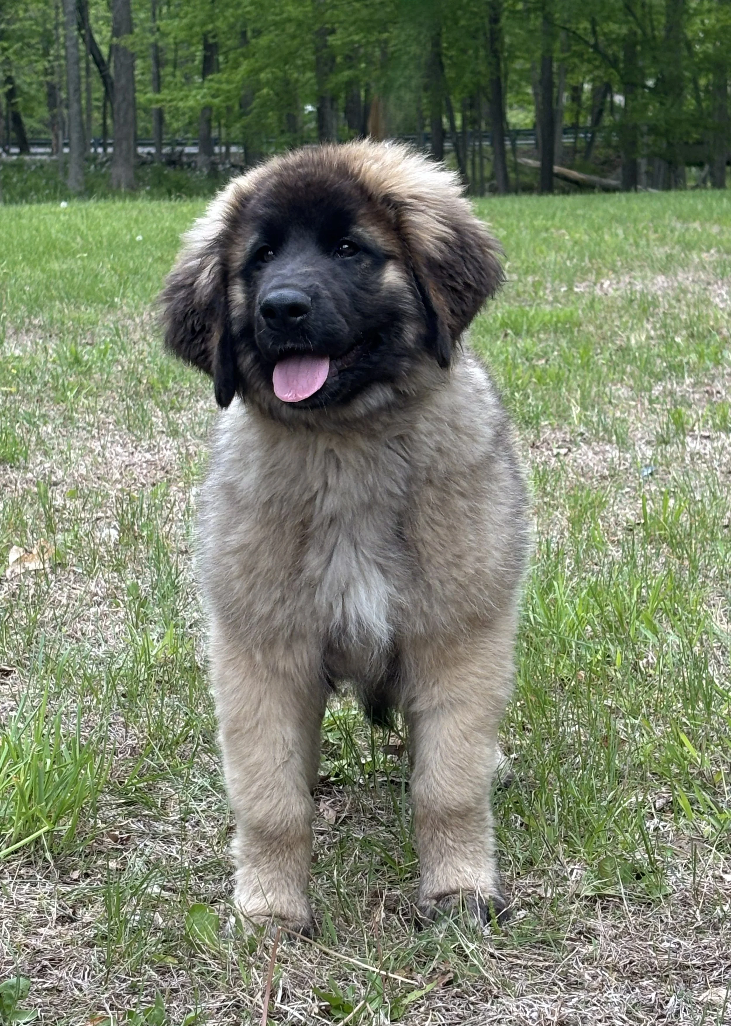 4 mos
