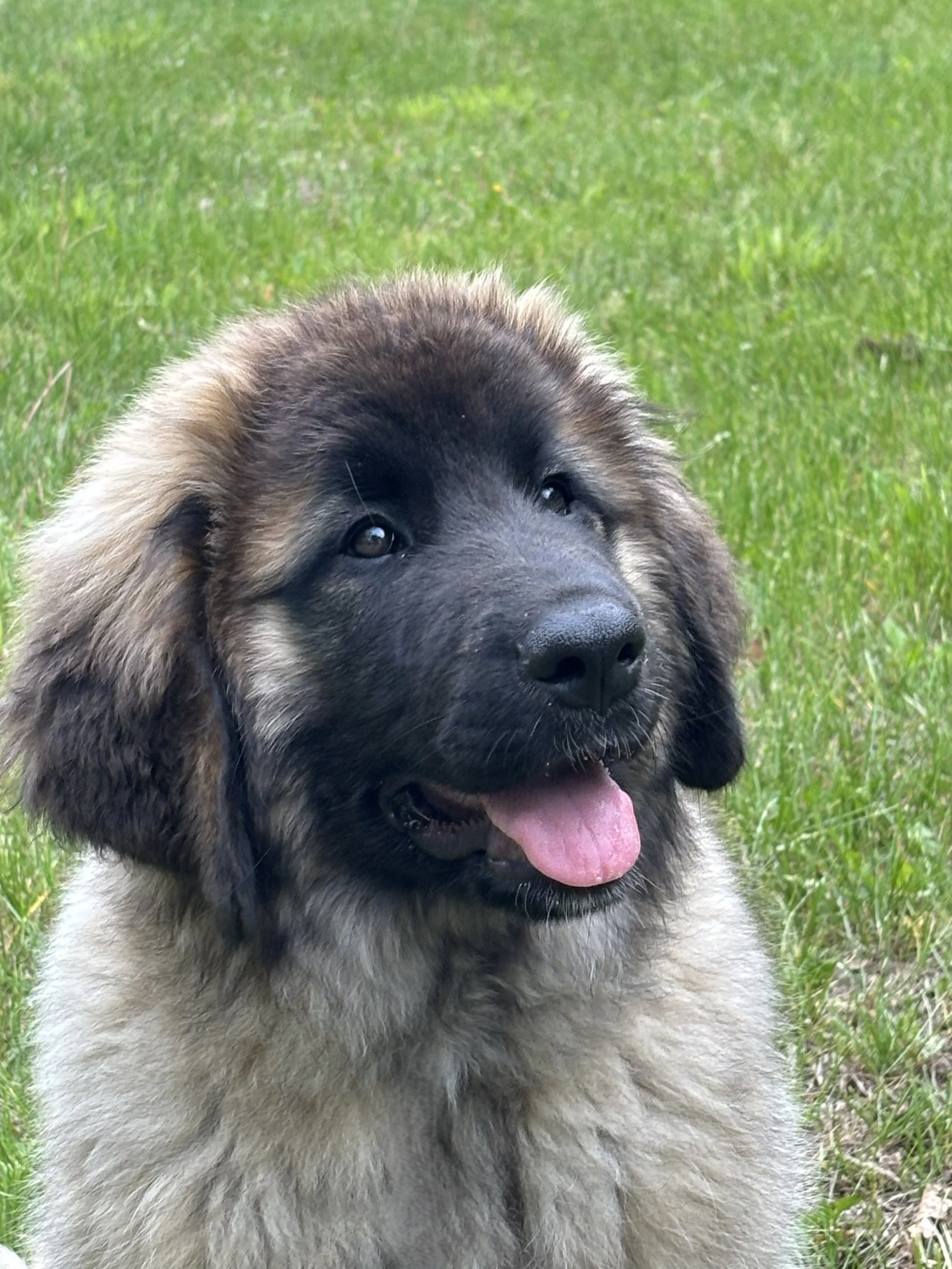 4 mos