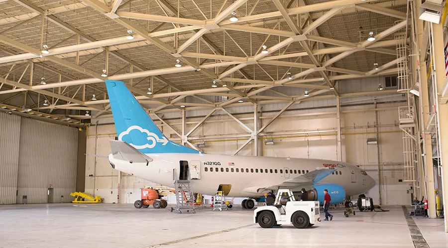 Gogo737_03.jpg