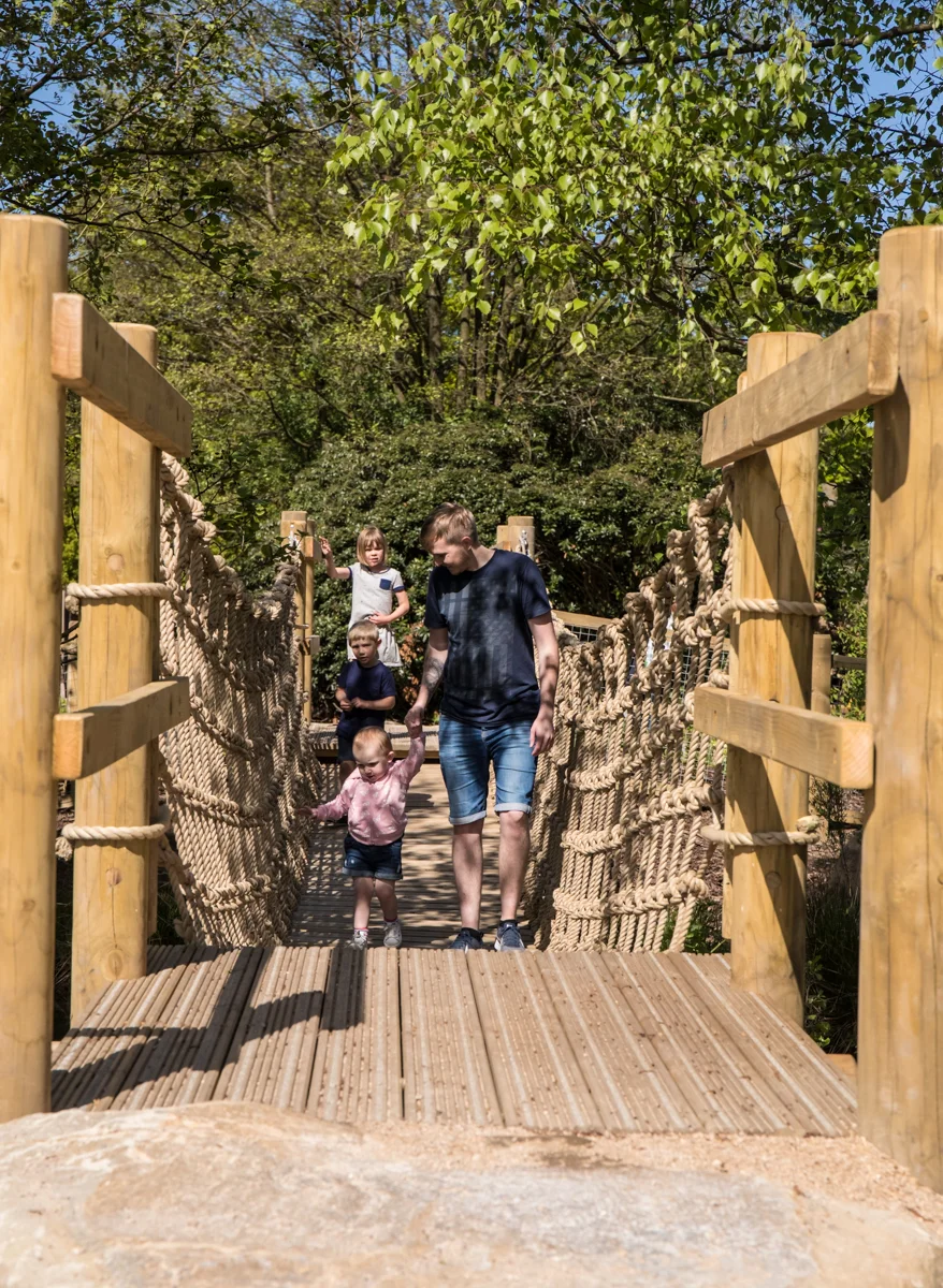 Tiger Trail, Knowsley Safari Park — Horticon Ltd Landscape Contractor & Design