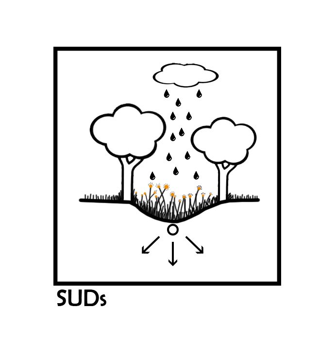 SUDS.jpg