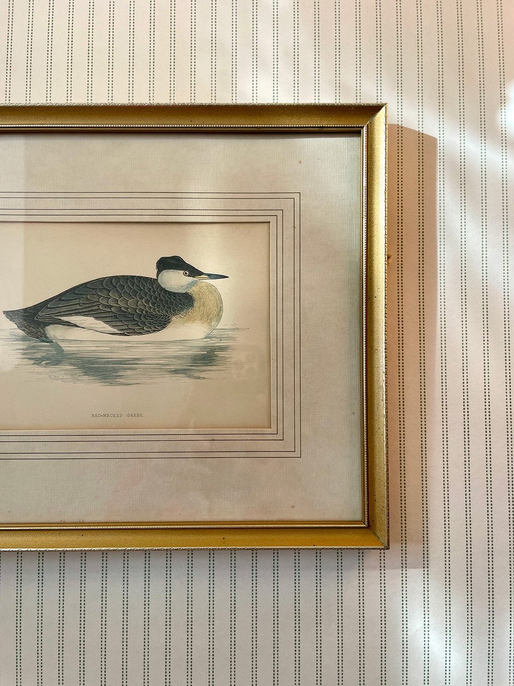 Pillow Stripe Lichen Green wallpaper sample hanging behind framed antique bird print. 