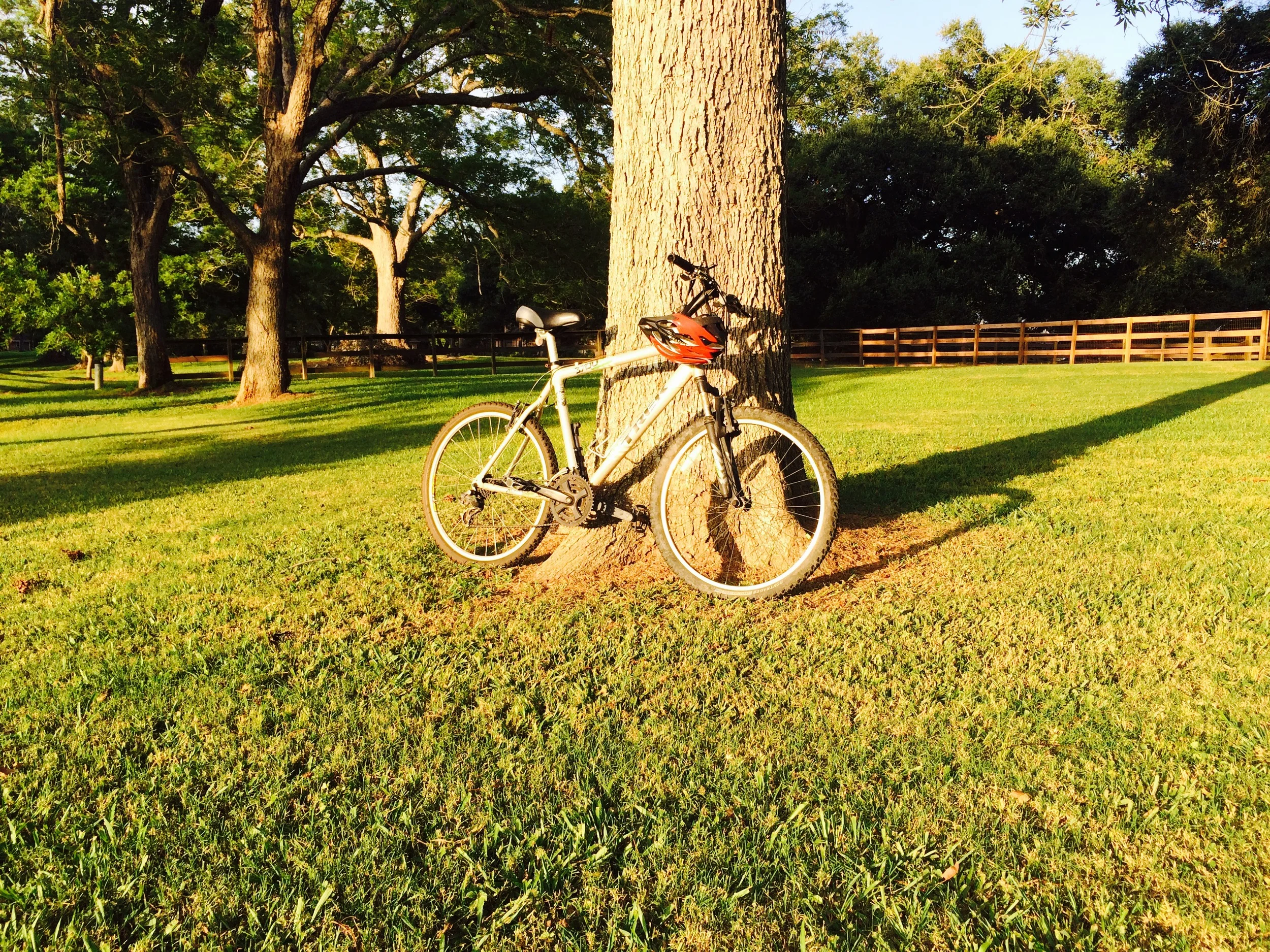 I Took the MMM Biking Challenge