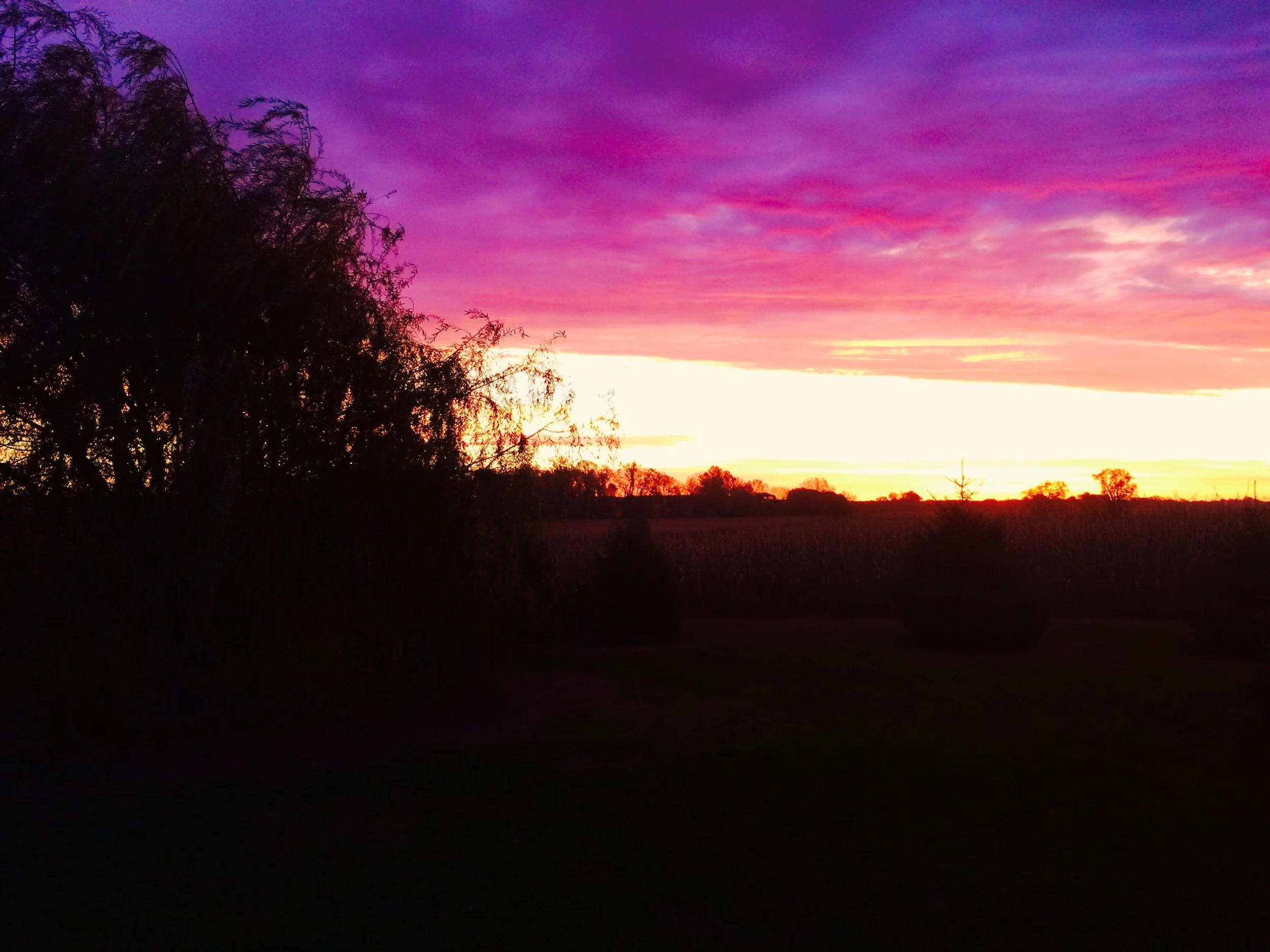 The Beauty of Sacrifice