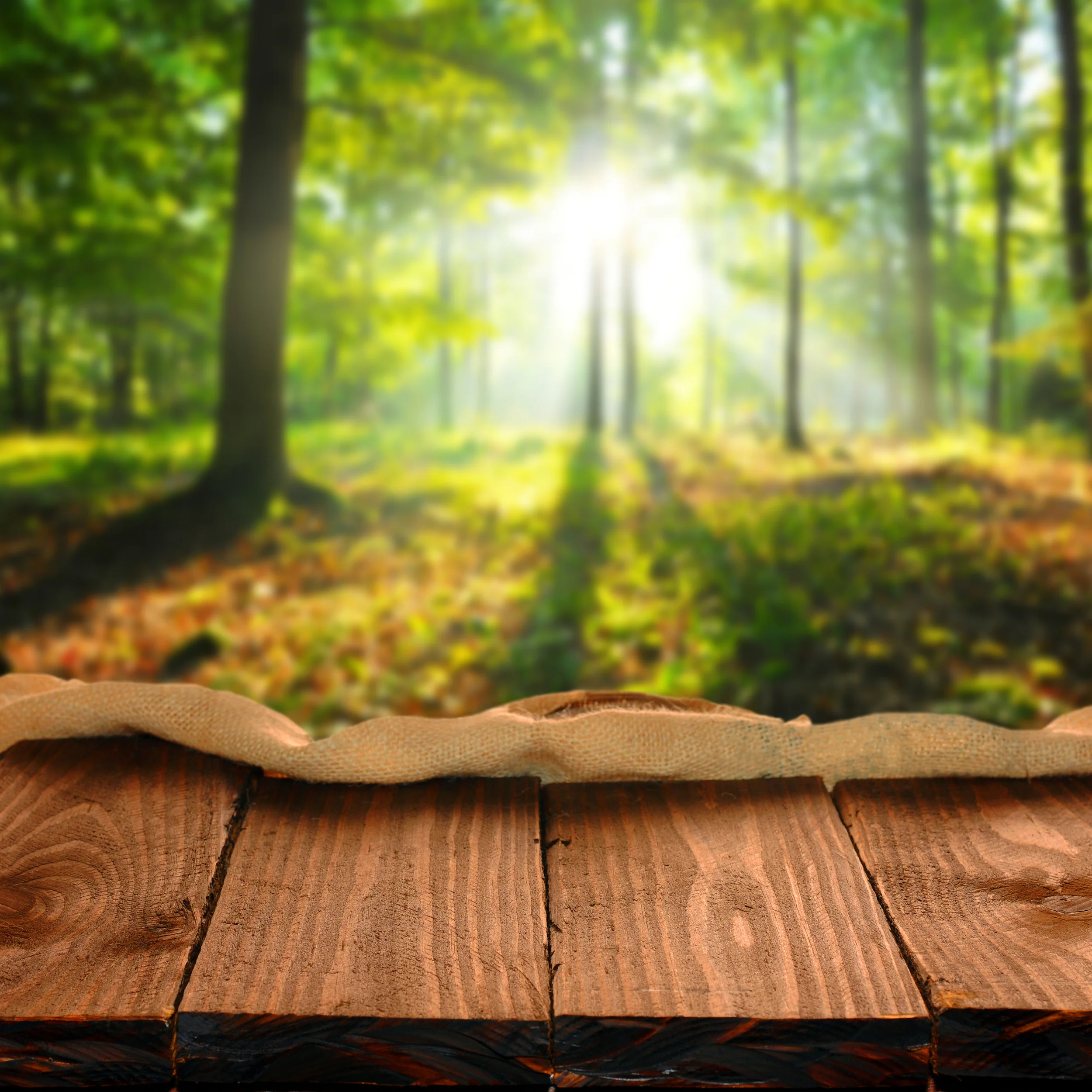 Book Review: The Legacy Journey, Part 3