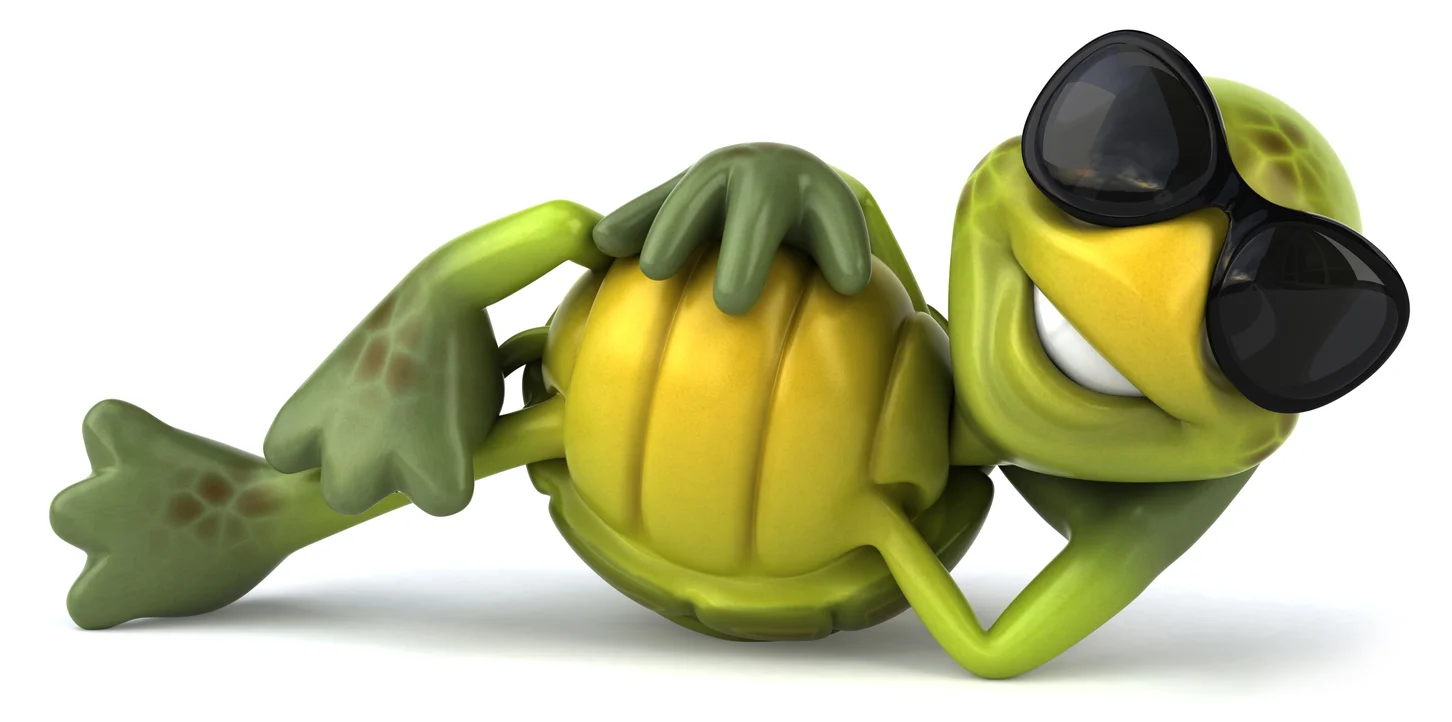 What Can We Learn From the Tortoise?
