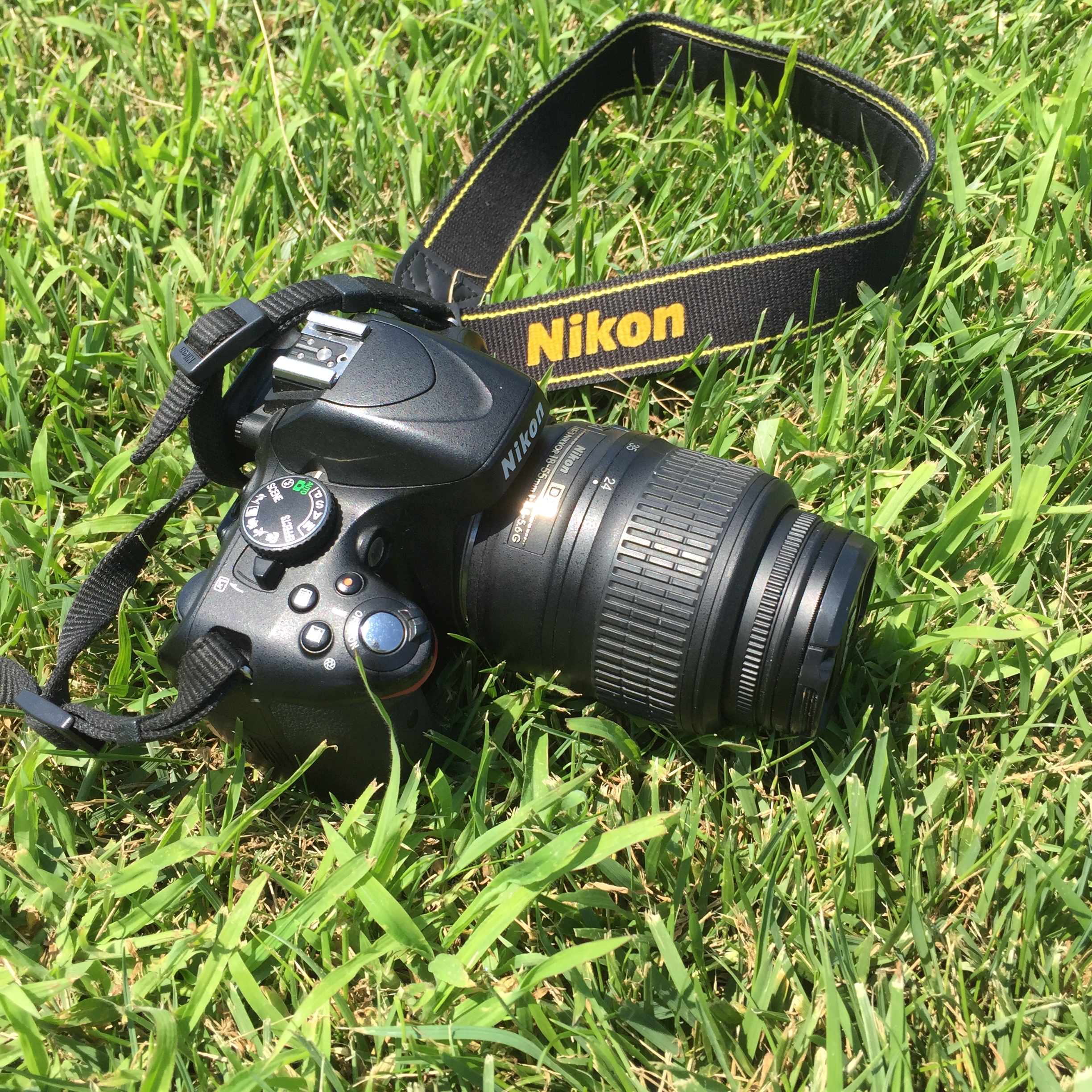 Pay for Professional Photos or Do It Yourself?