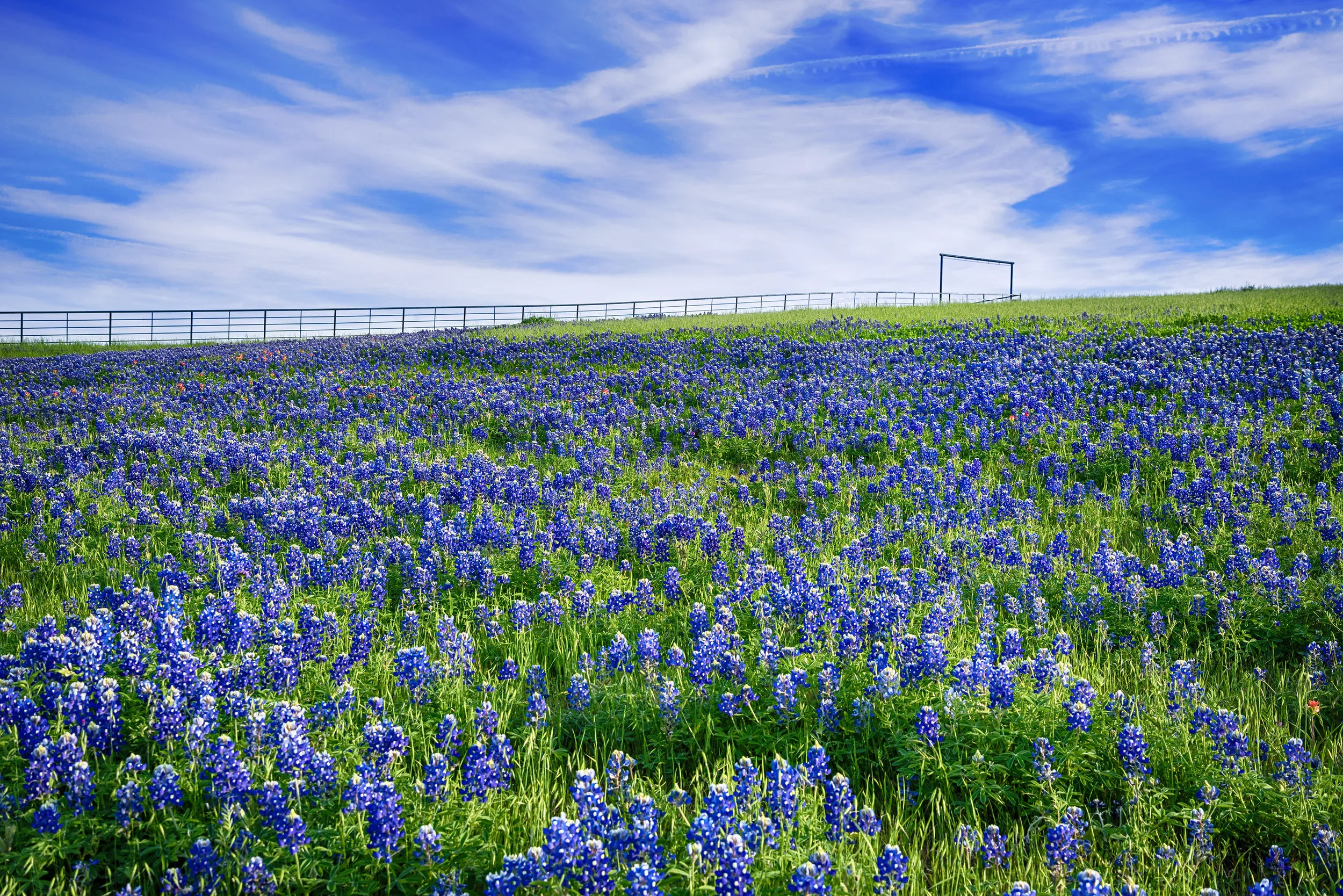 Investing Tools for College: The Texas Tuition Promise Fund