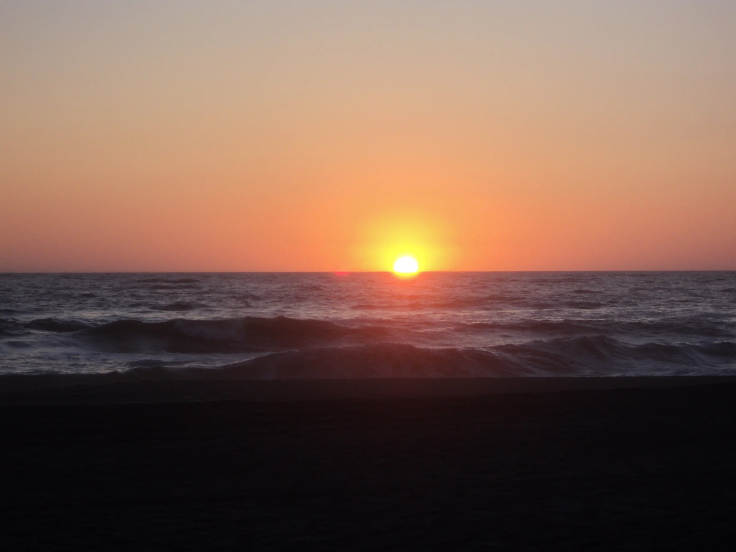 Investing Tools: The 401k and 403b