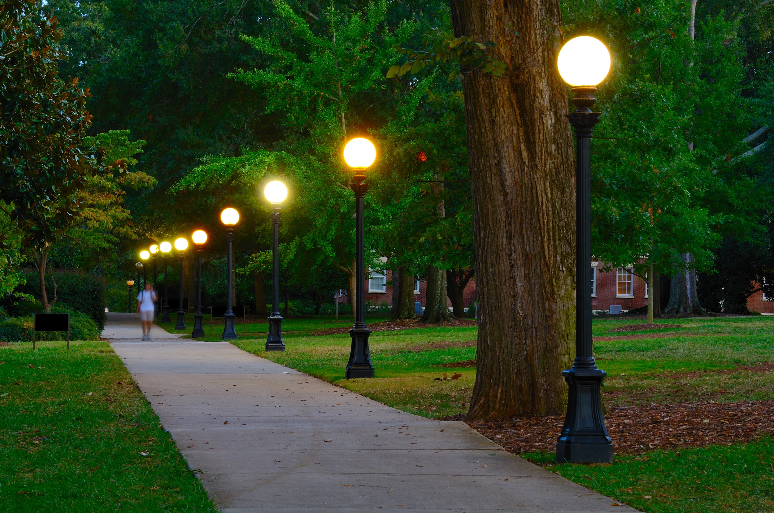 Investing Tools for College: The ESA
