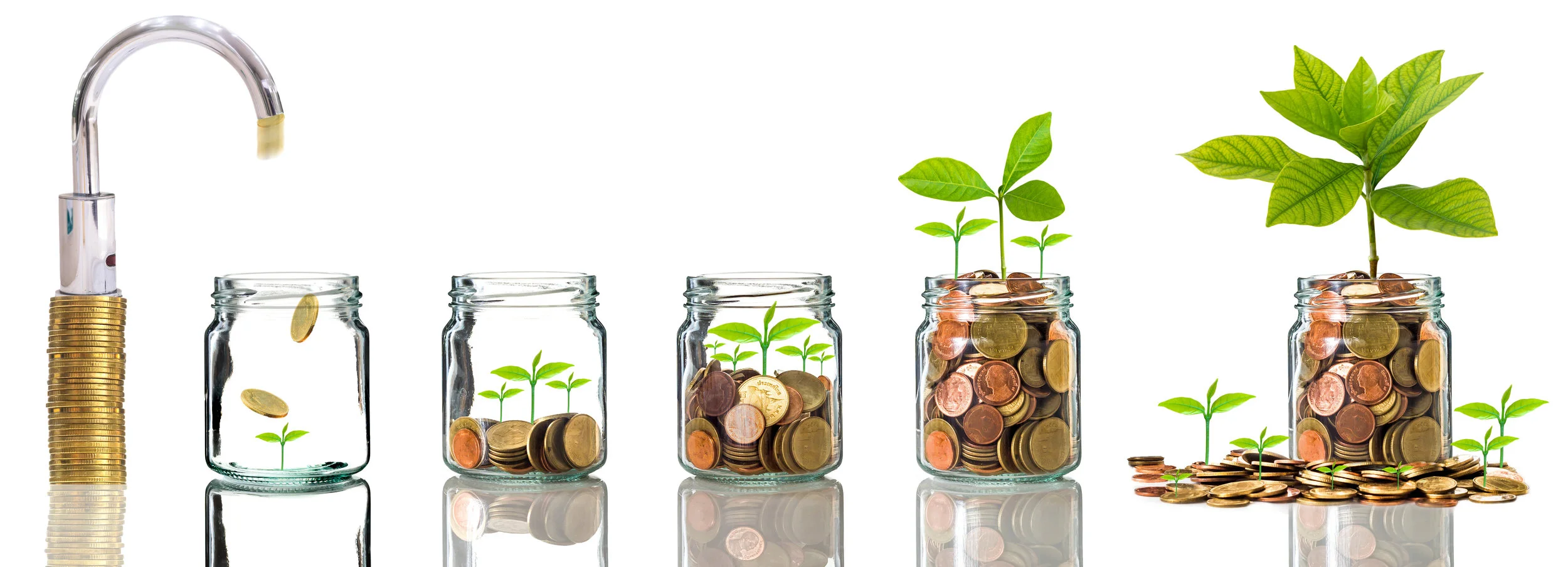 My Investing Principles