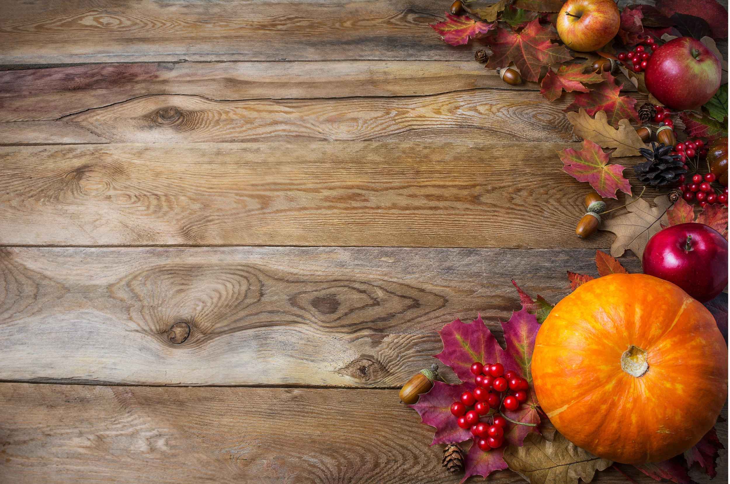 The Thanksgiving Challenge Revisited