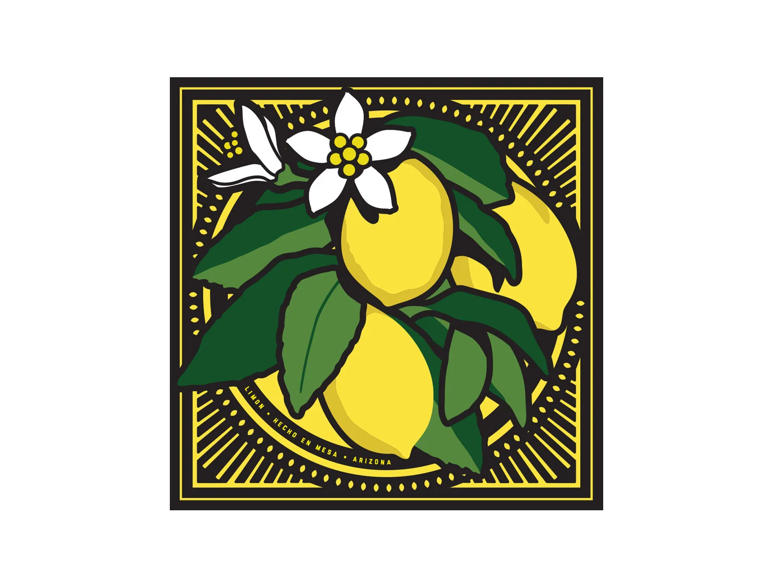 MESA_lemons.jpg