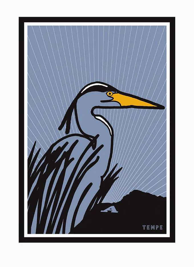 tempe_heron.jpg