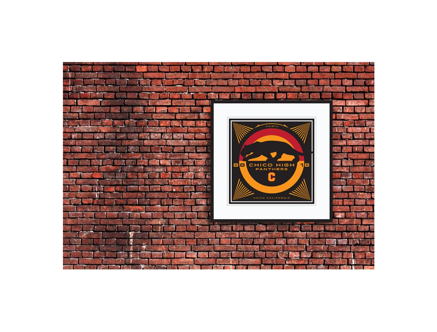 CHS_30_brick.jpg