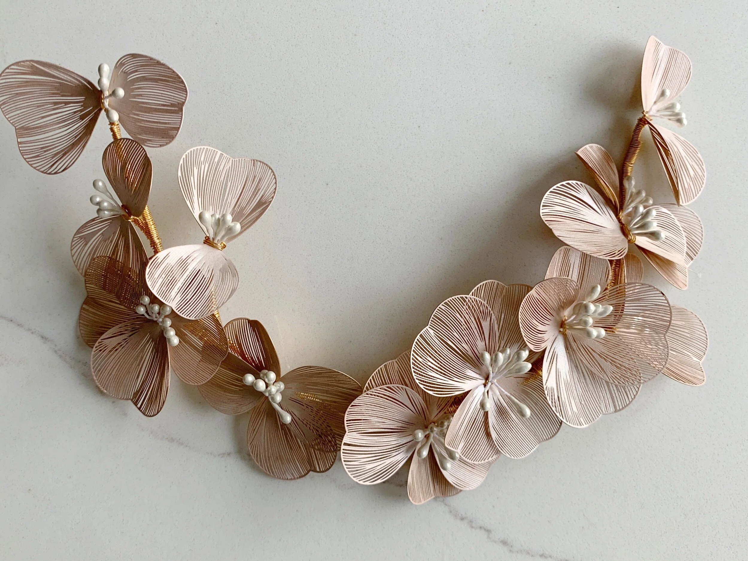 E437F376-B39F-447C-B769-A9CD96C5AA5A