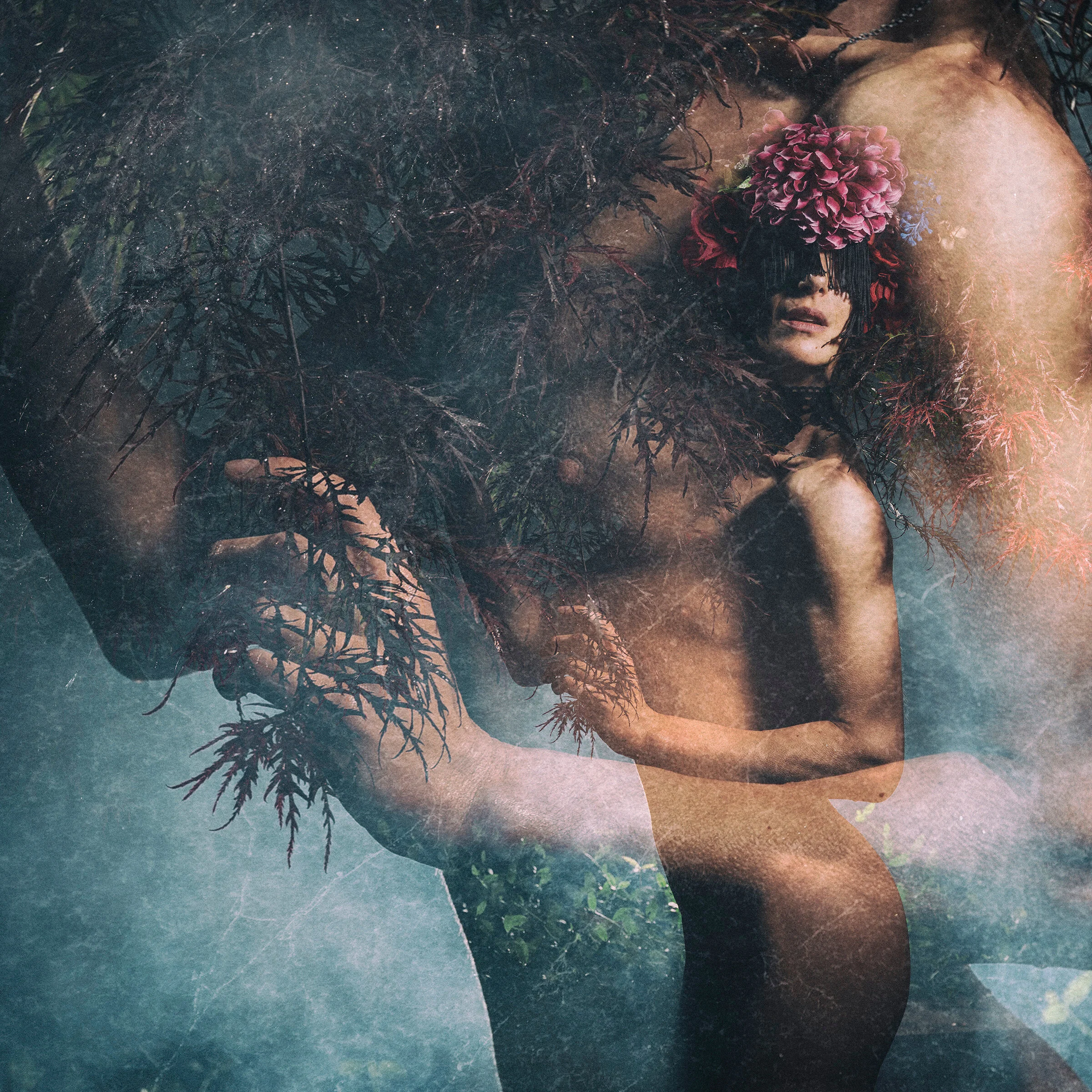  photo by  Giles Clement  