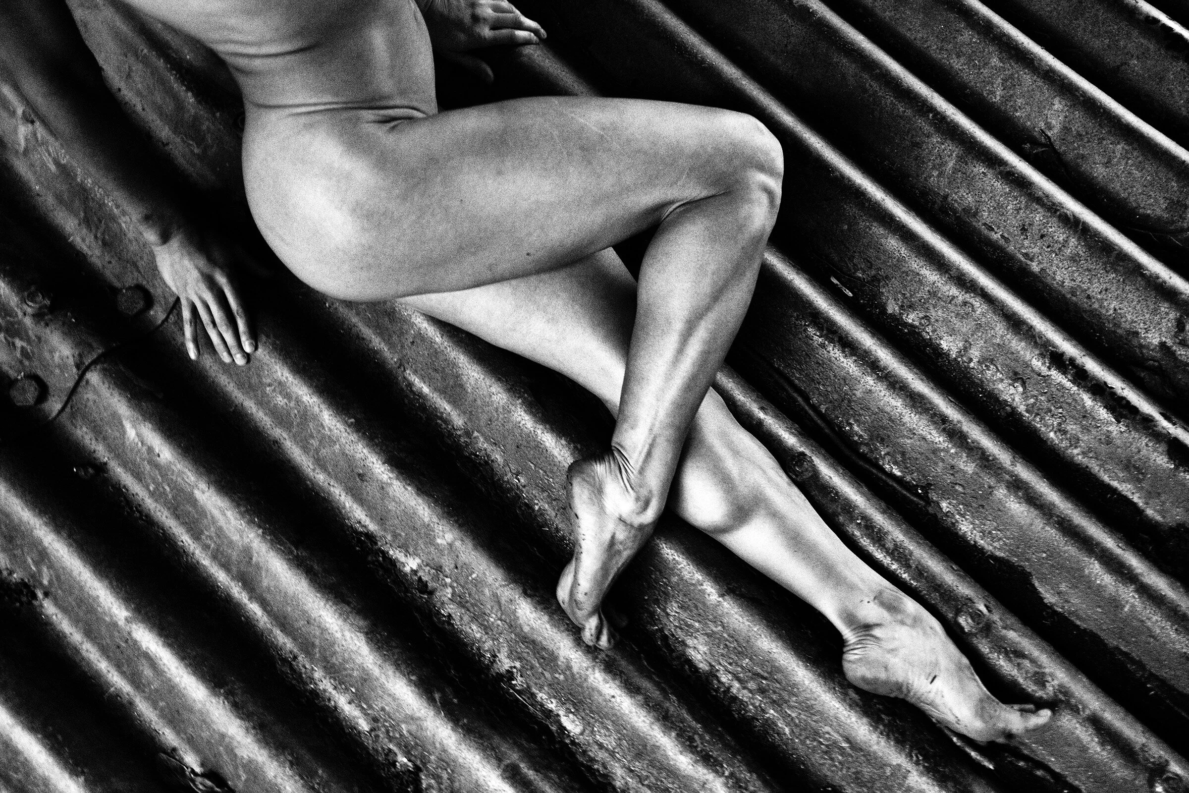  photo by  Giles Clement  