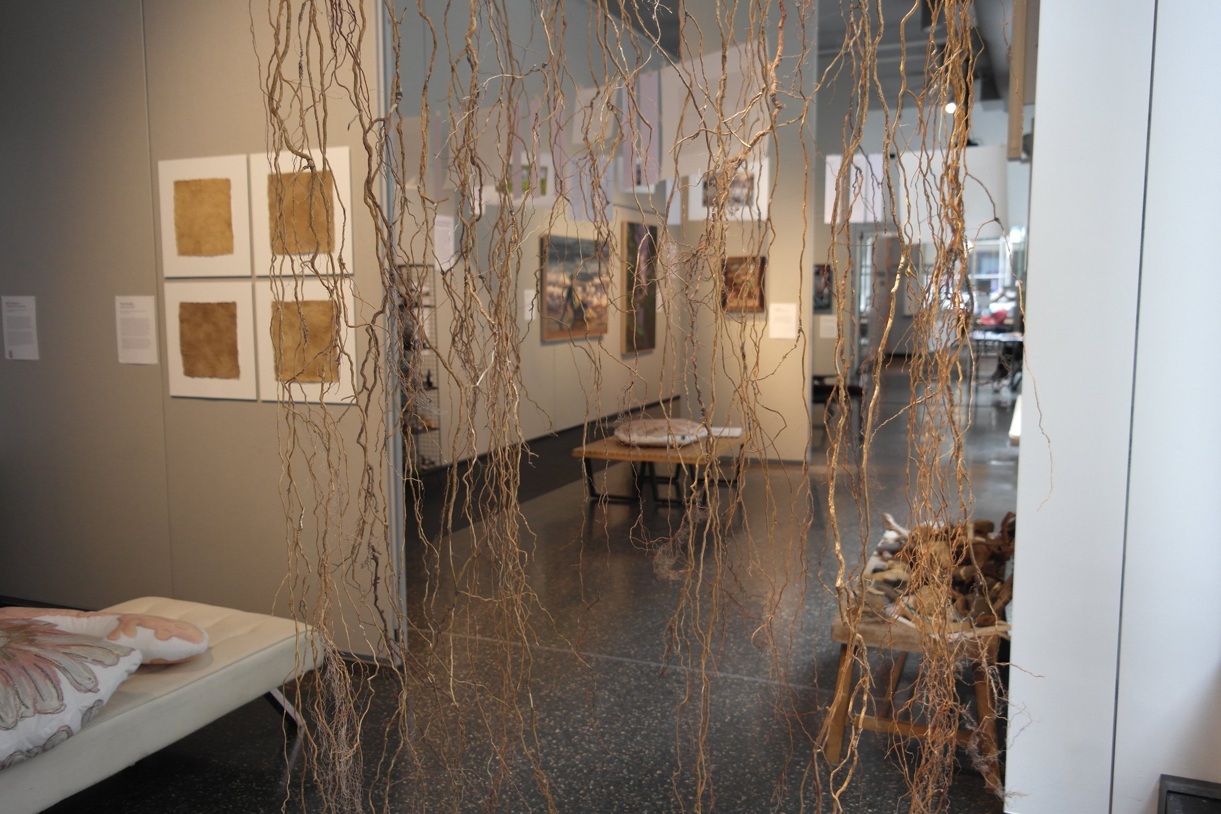 Gallery view with work by Tessa Grundon (Invasive Species and Contours) and David Nasca. 