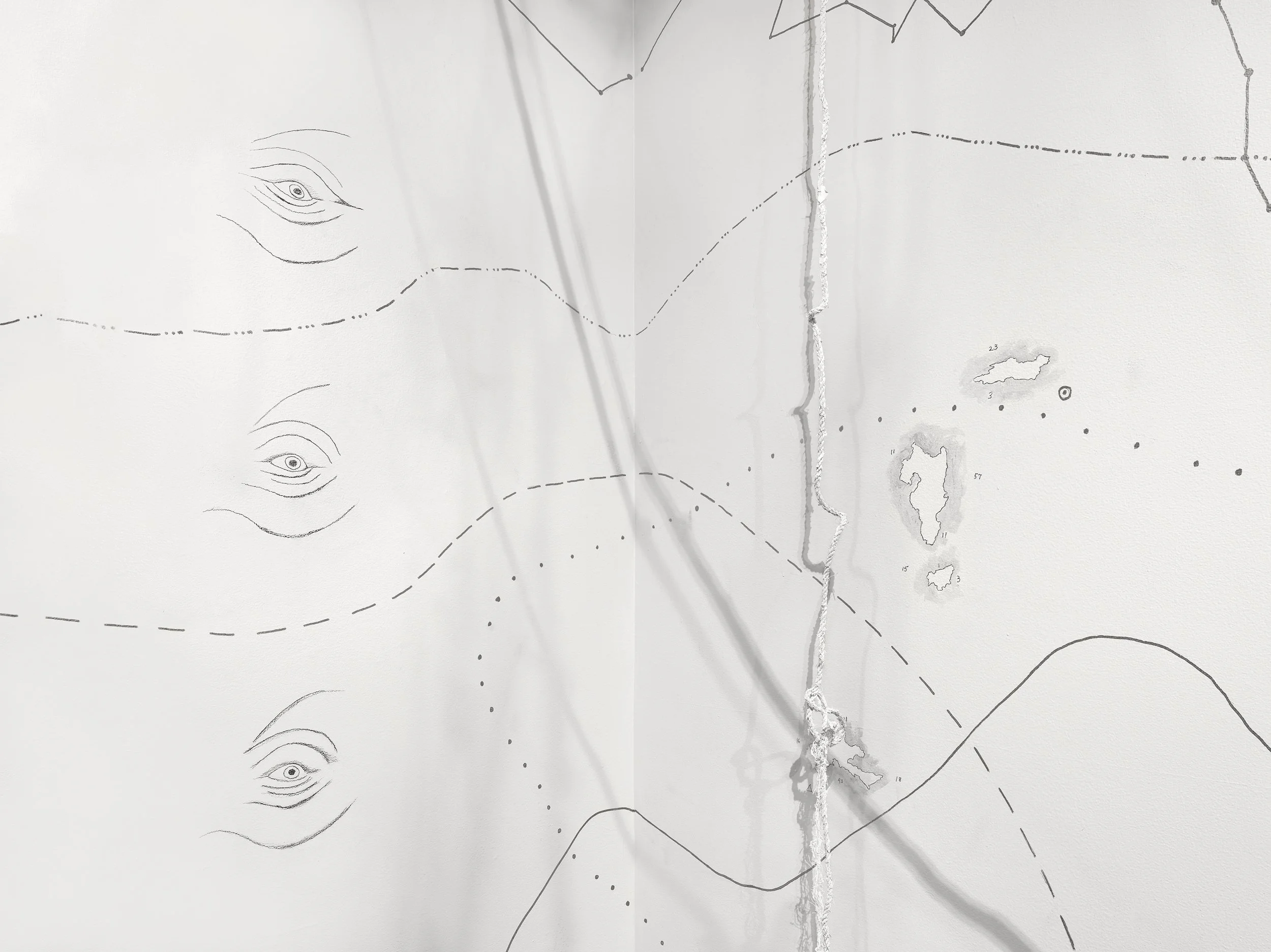 Ahab's Head: American Vengeance (installation detail)