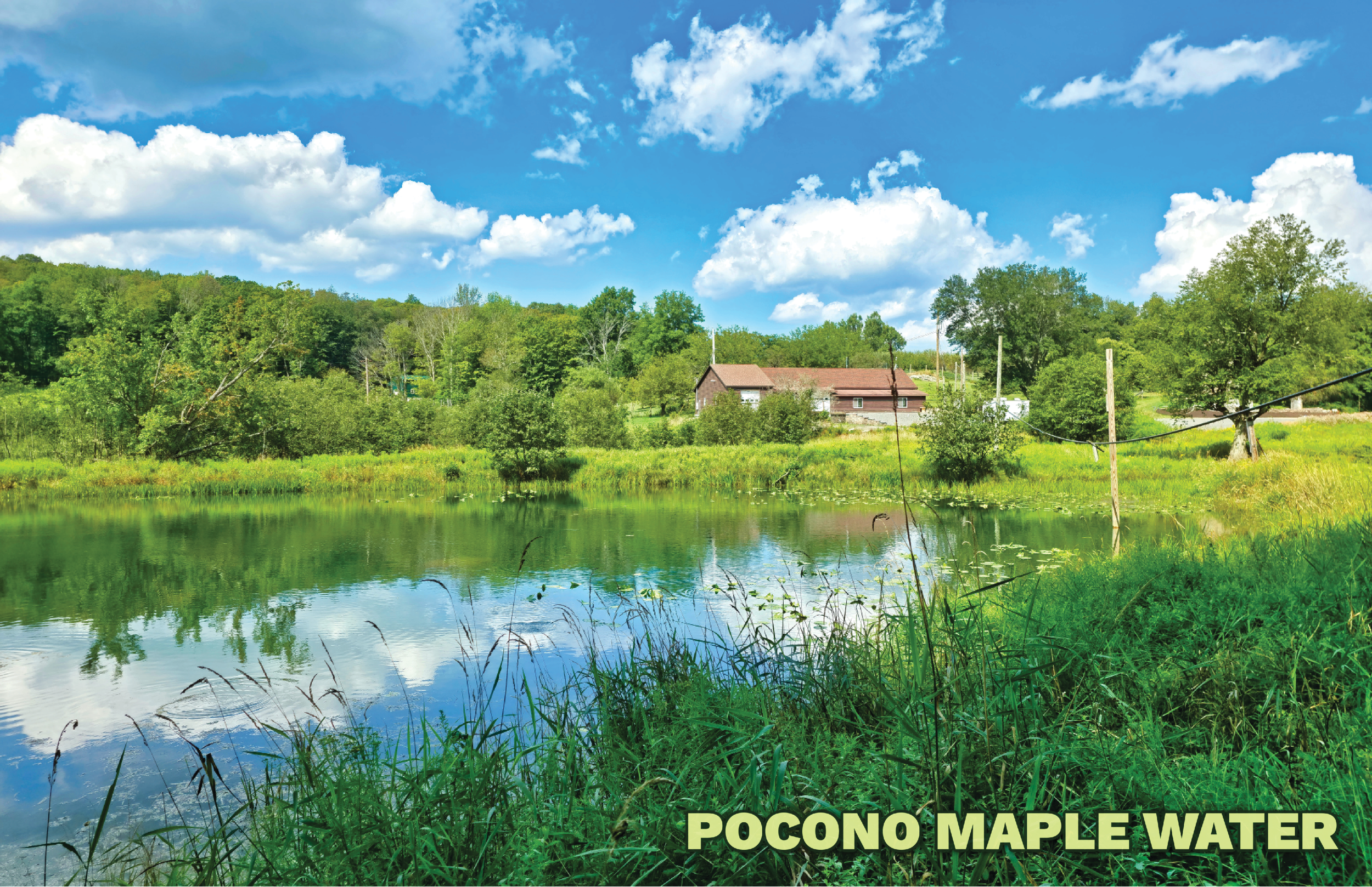 AM AUG ISSUE #116 WATER 1.png