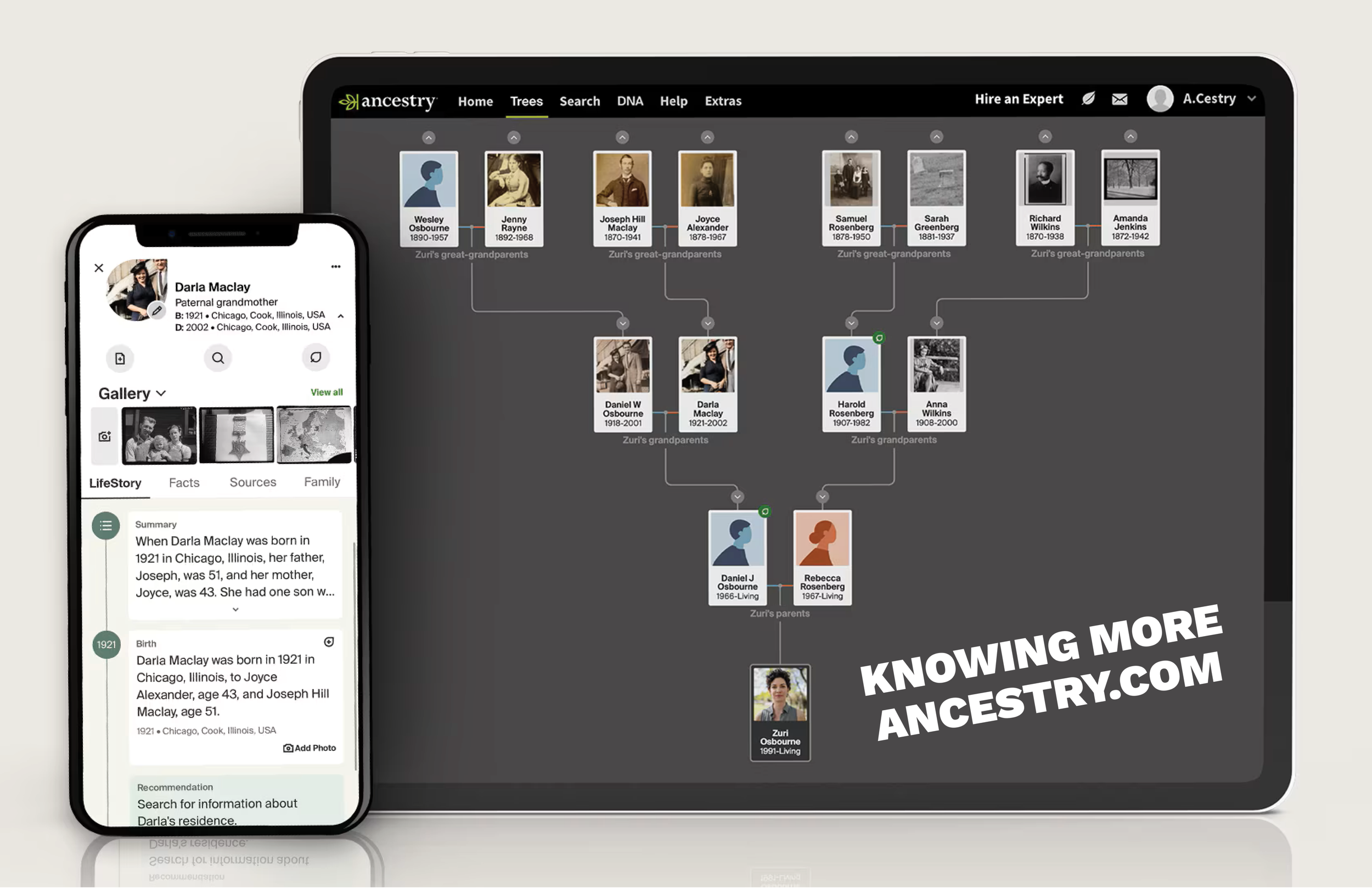 KNOWING MORE | ANCESTRY.COM — Athleisure Mag™ | Athleisure Culture