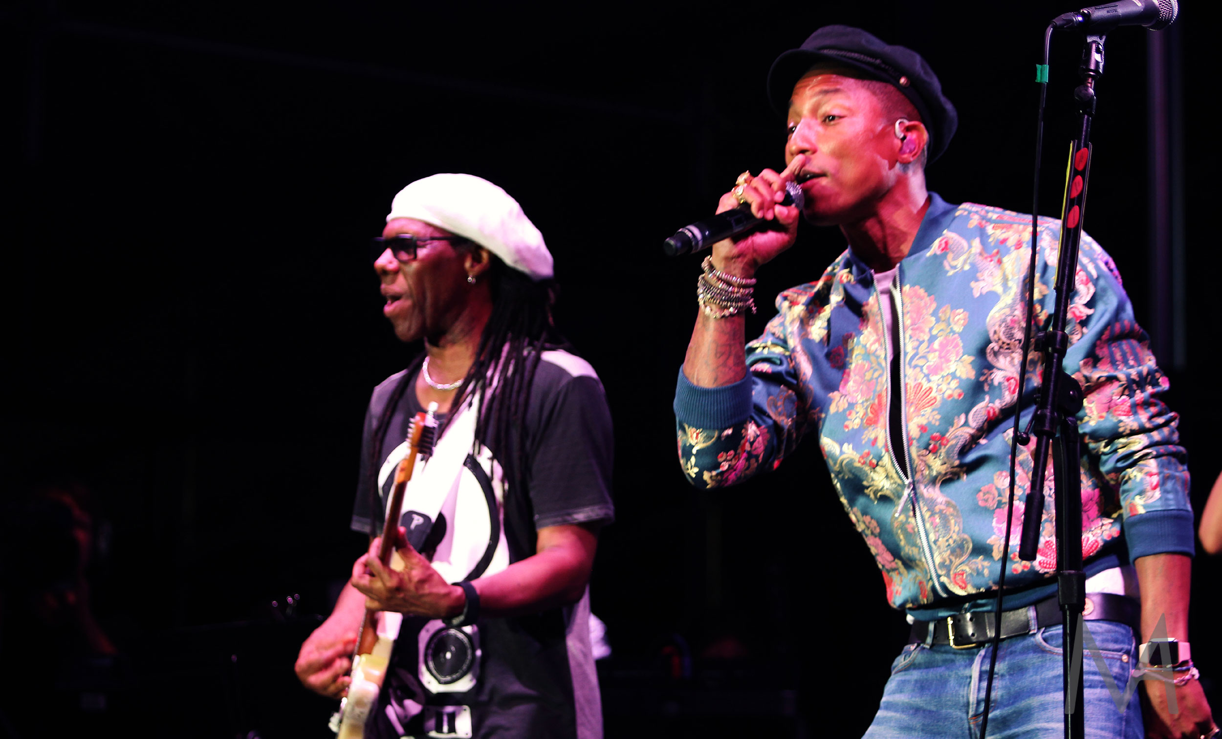 Nile Rodgers and Pharrell Williams