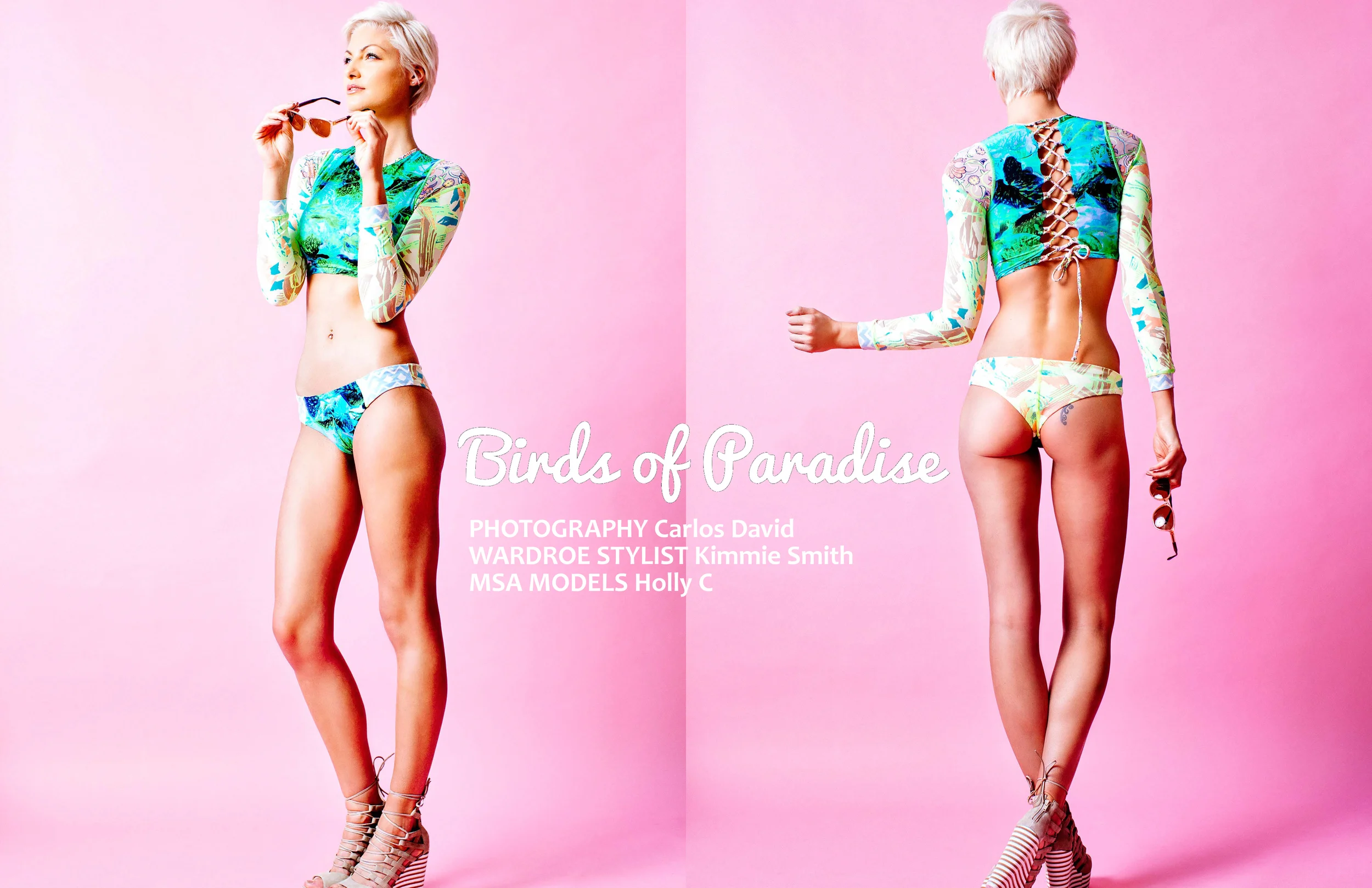 Birds of Paradise; Mar 2016