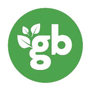 GREEN BLENDER