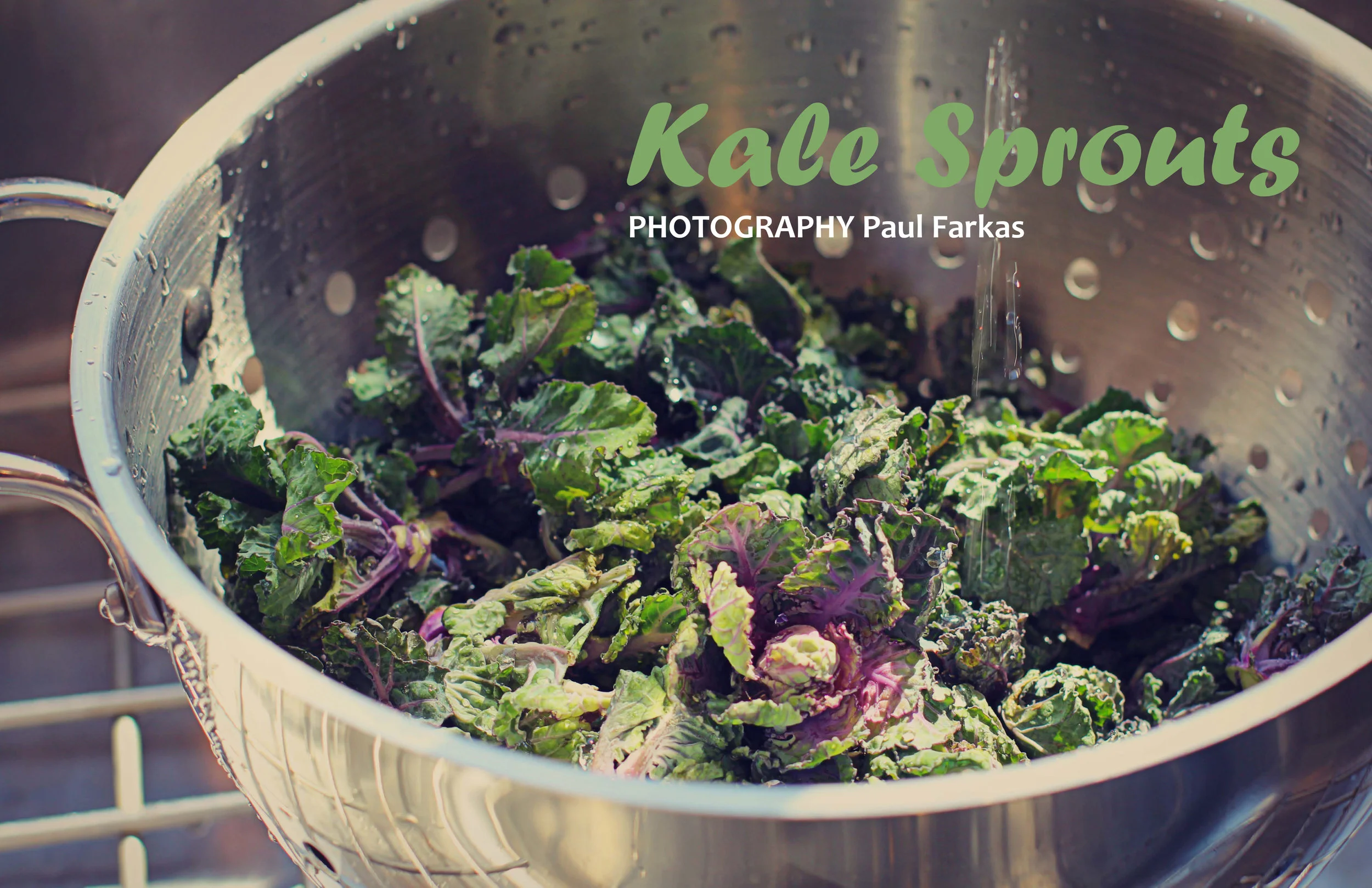 ISSUE #3 | Kale Sprouts Editorial