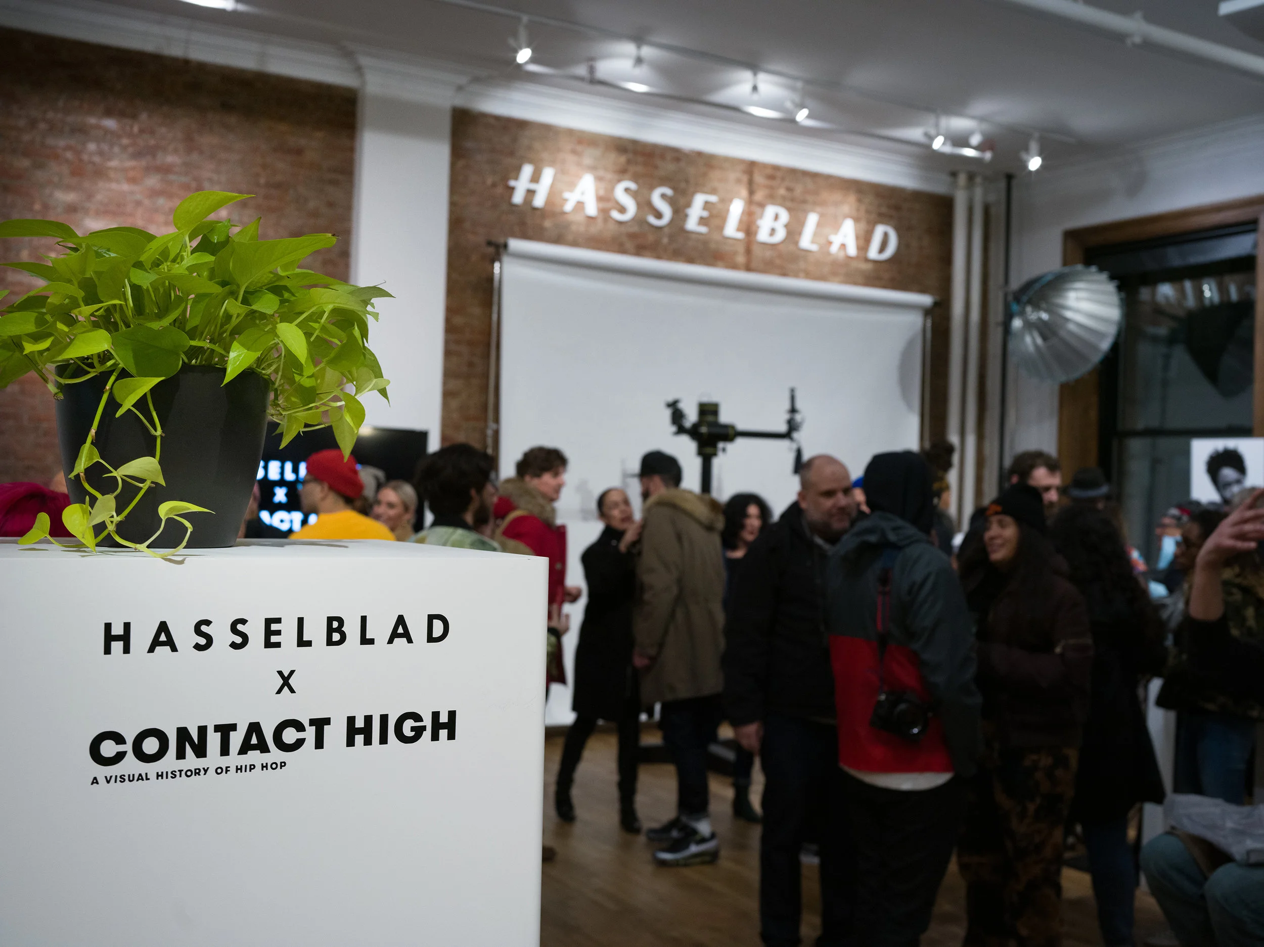 Contact High_3.jpg