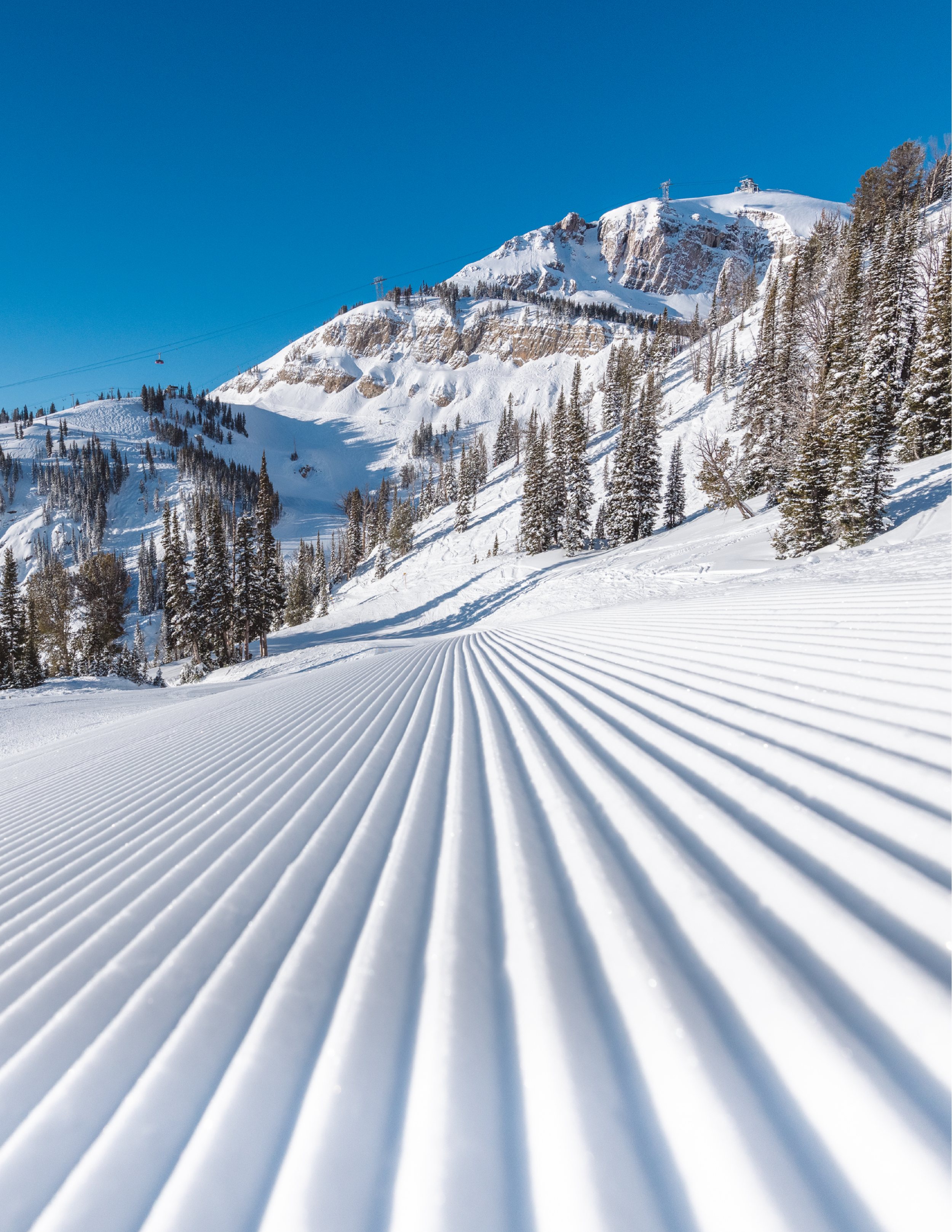 Andrew Way, VP Marketing - Jackson Hole Mountain Resort