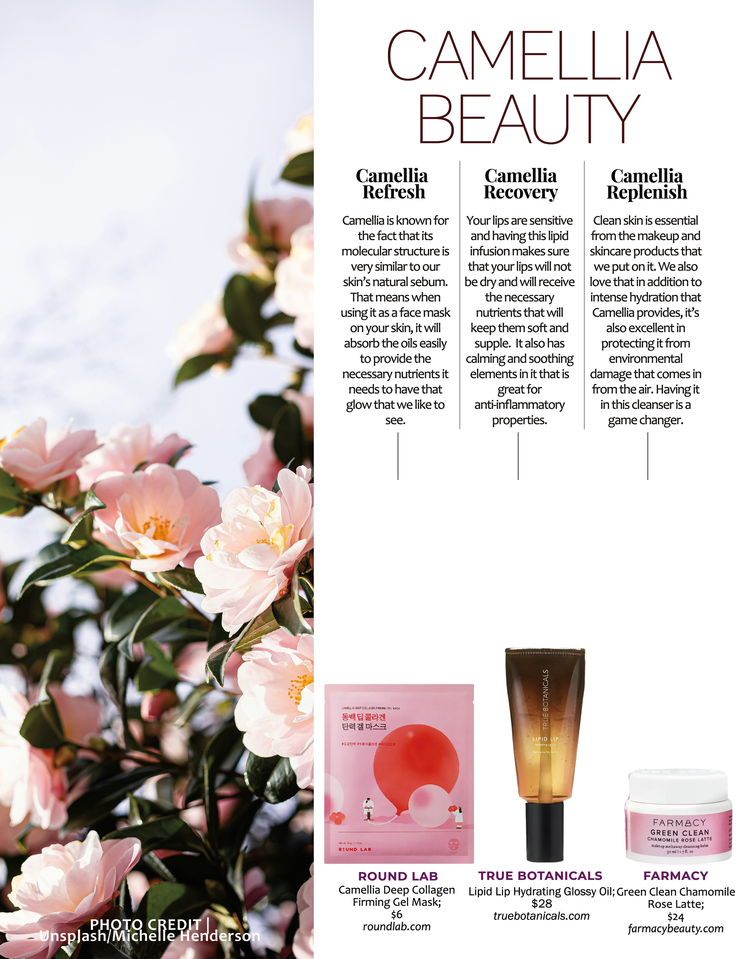 CAMELLIA BEAUTY.png