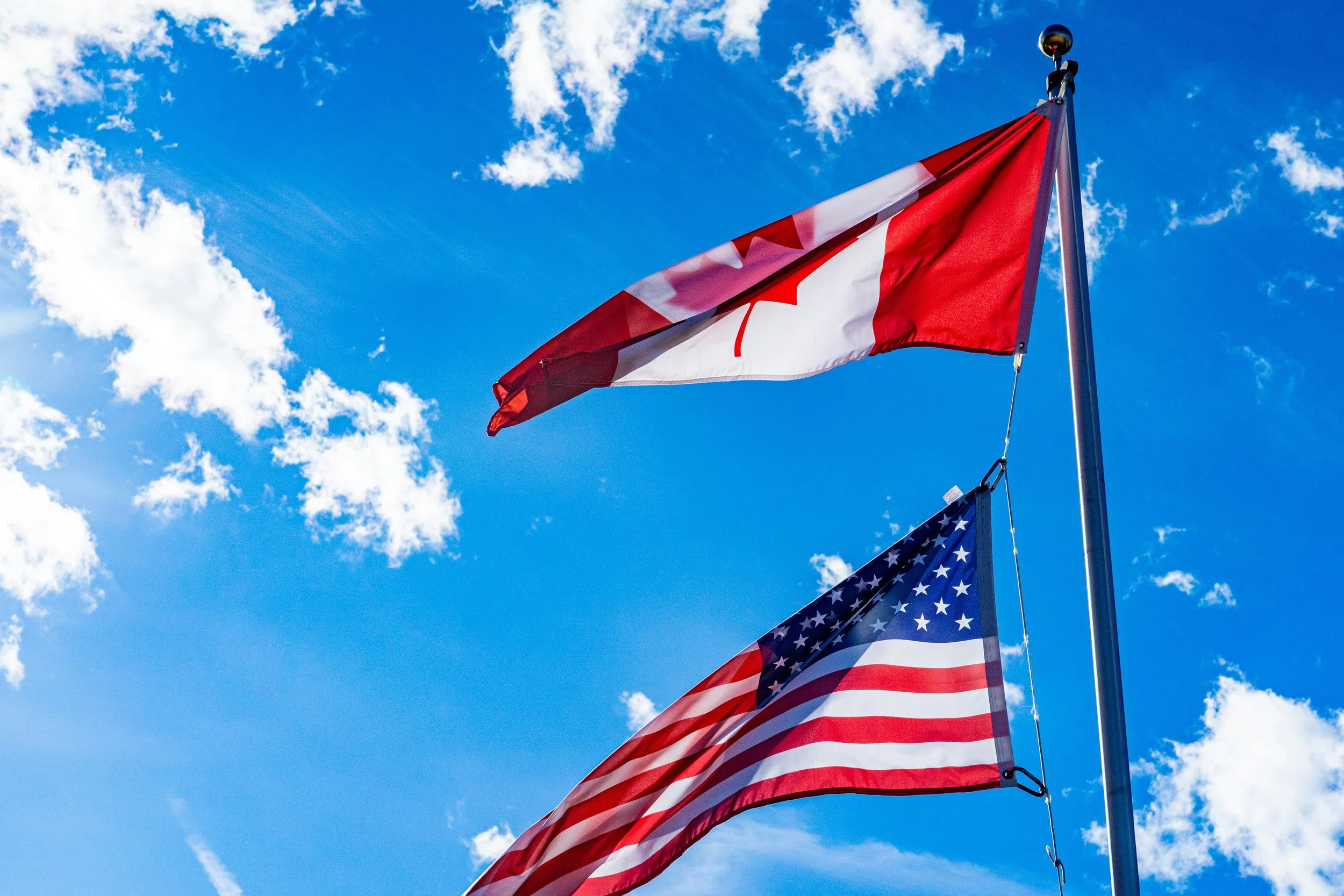 A professional reviewing tax documents with Canadian and US flags nearby