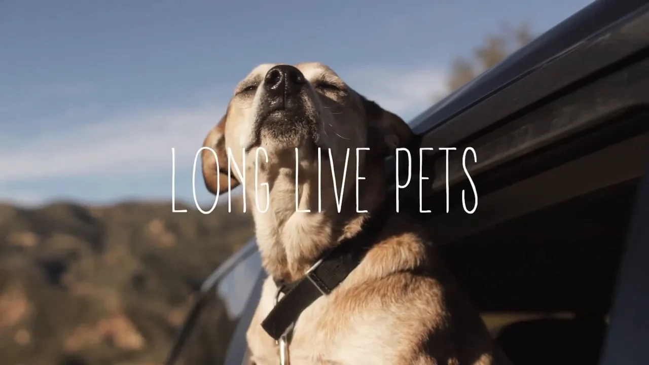 NV LLP STANDALONE FINAL H264