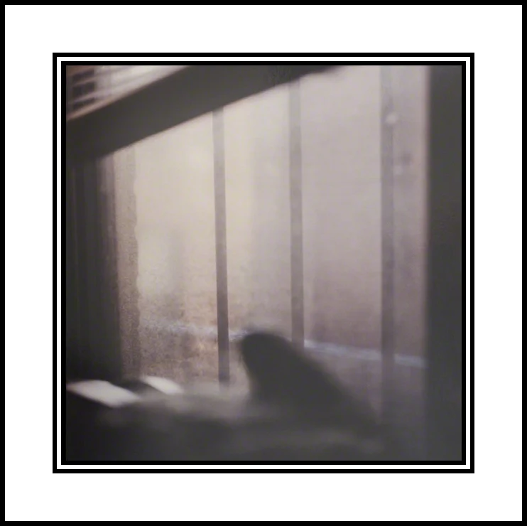 Hither, 2006