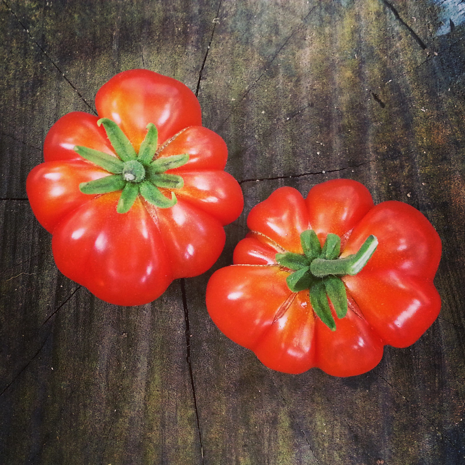 Produce Alliance features their 2015 Conference Title Sponsor GreenGate