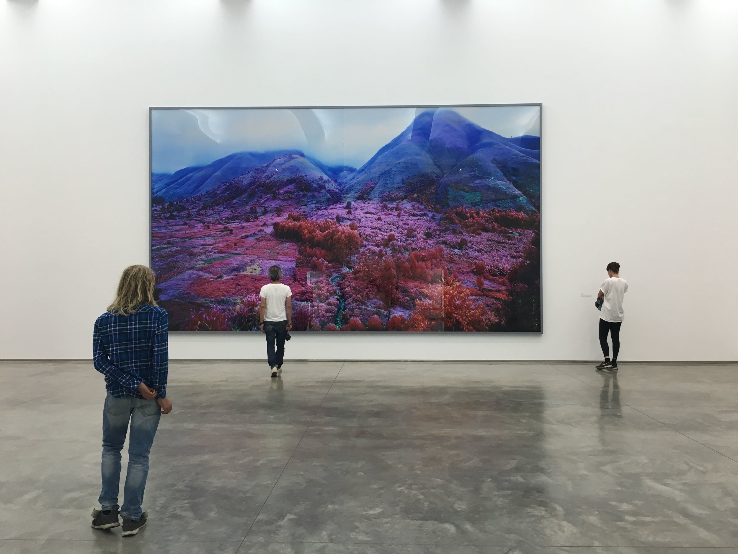 Richard Mosse, Everything Merges with the Night , 2015, Digital C-Print, 164x280 inches. 