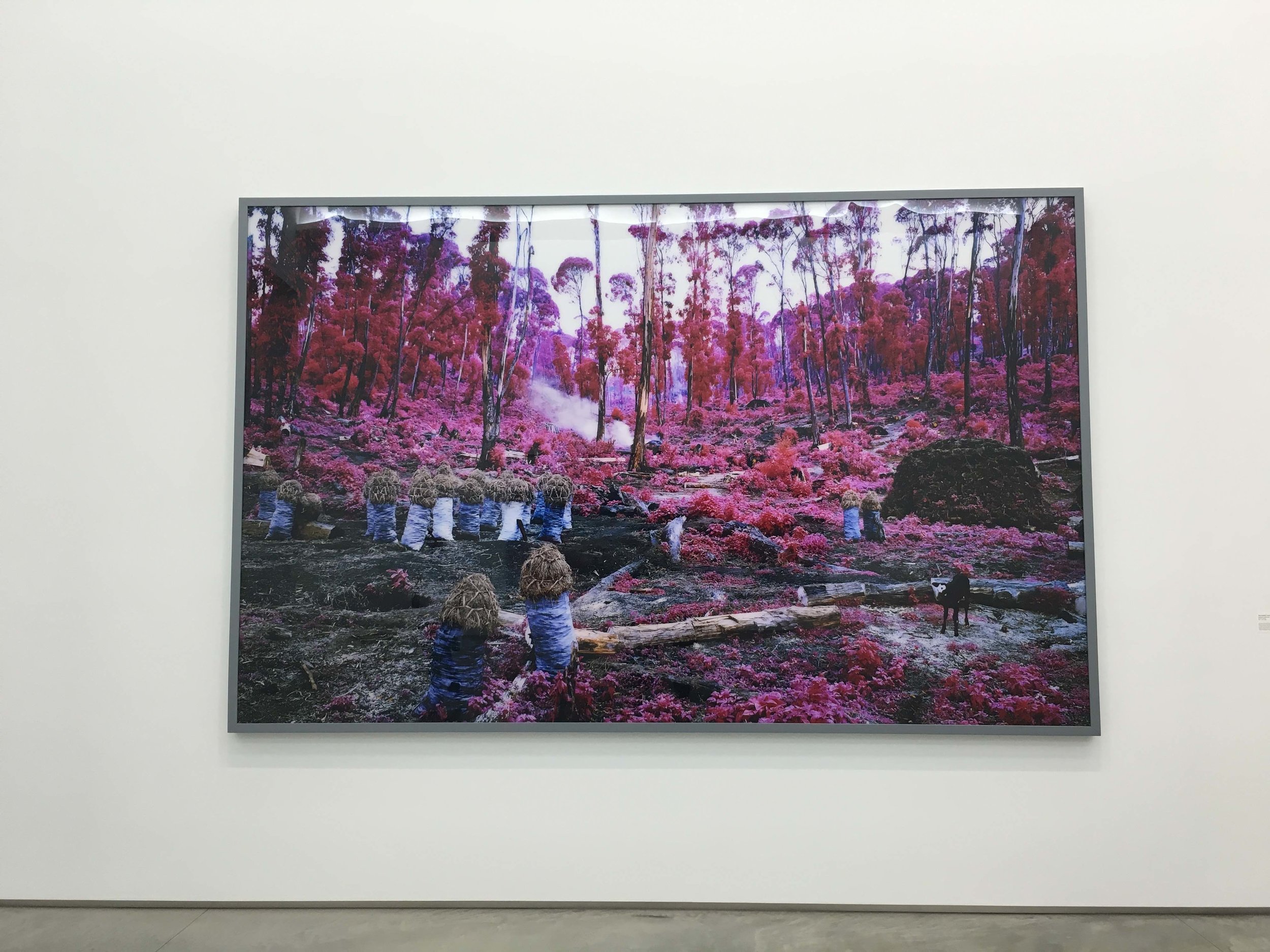 Richard Mosse, Hunches in Bunches , 2011, Digital C-Print, 88x140 inches