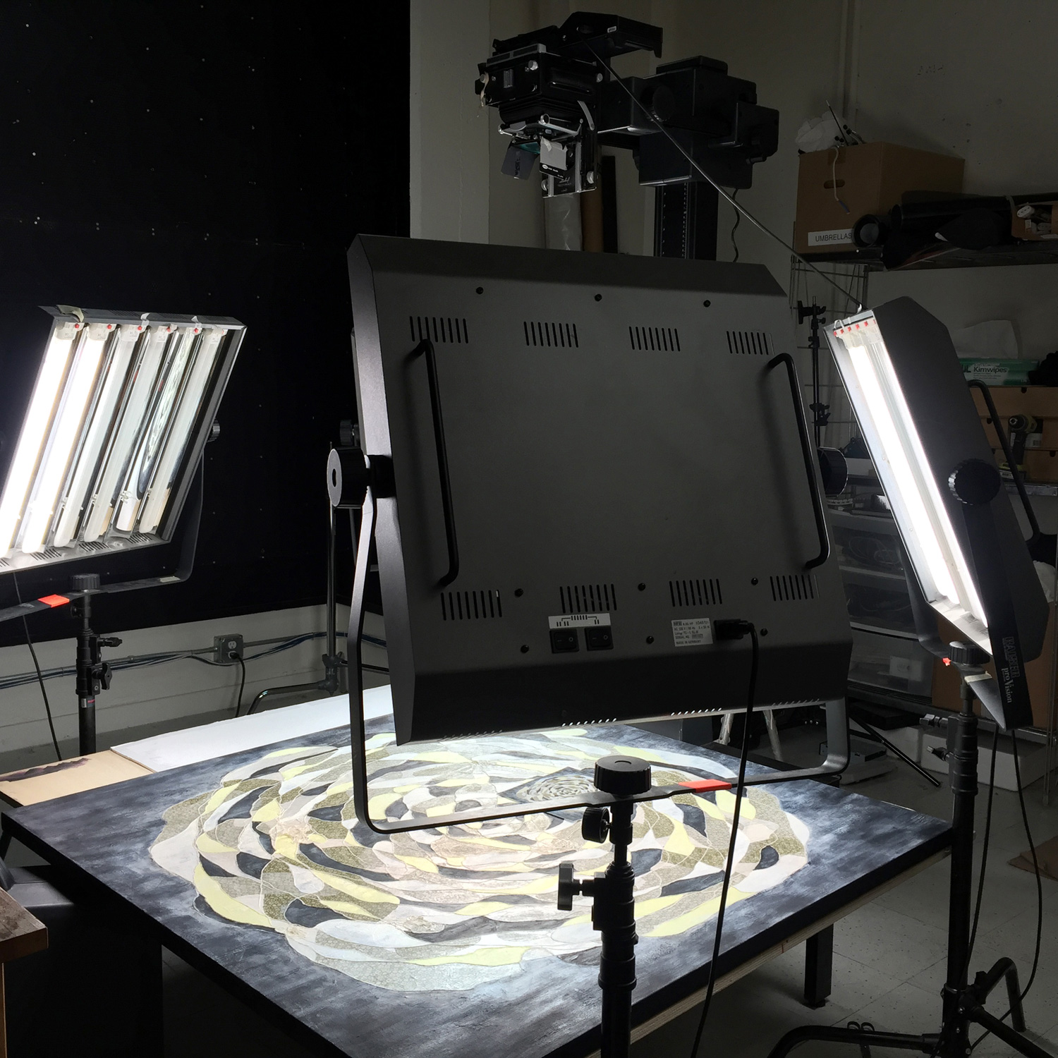 Pale Yellow Black being professionally photographed in San Francisco. 