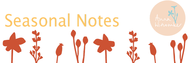Anna_Wiscombe_Wooden_Wares_Autumn_Newsletter_Seasonal_Notes_Header.png