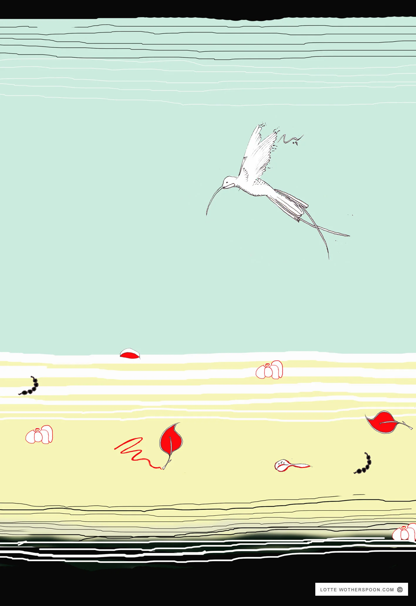 hummingbird.jpg