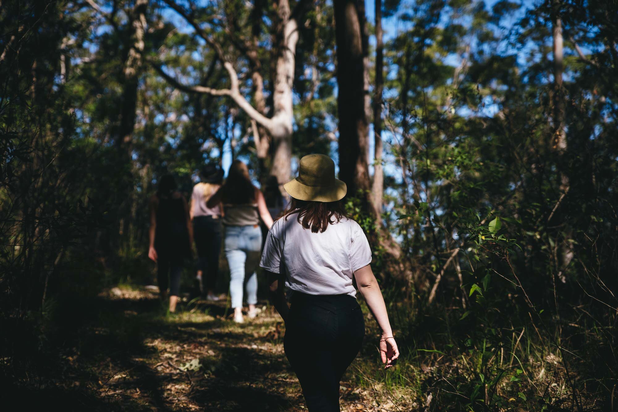 bush-walks-at-bombah-point-eco-cottages.jpg