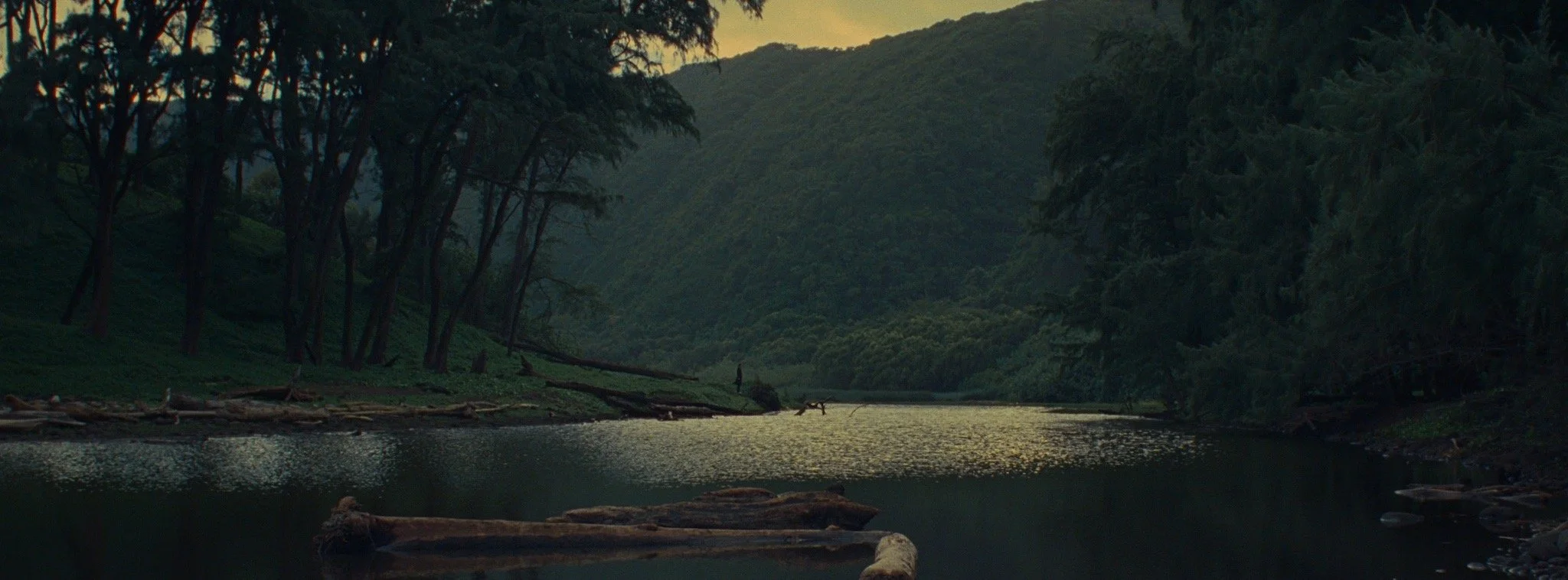 Brut FINAL.00_01_22_21.Still013.JPG