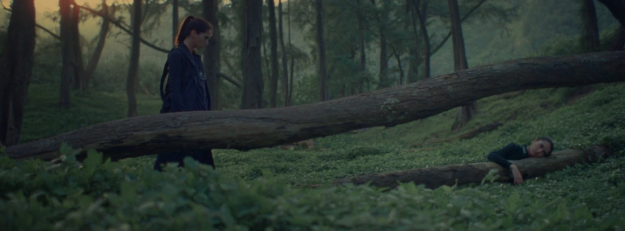 Brut FINAL.00_01_31_20.Still014.JPG