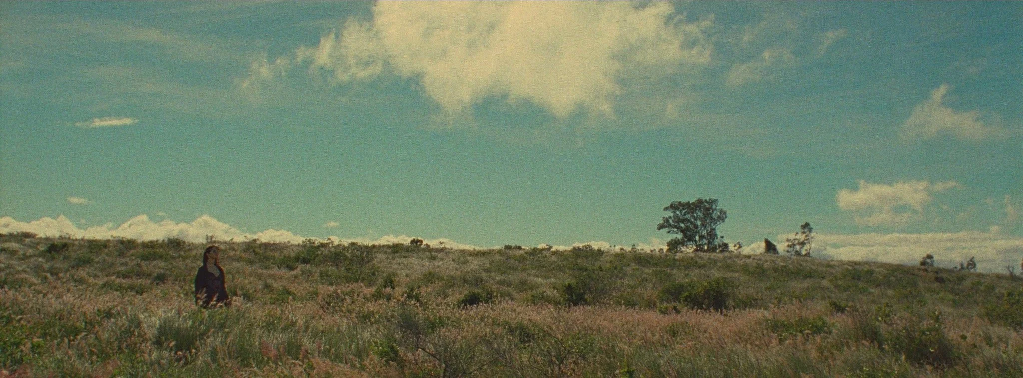 Brut FINAL.00_02_35_01.Still020.JPG