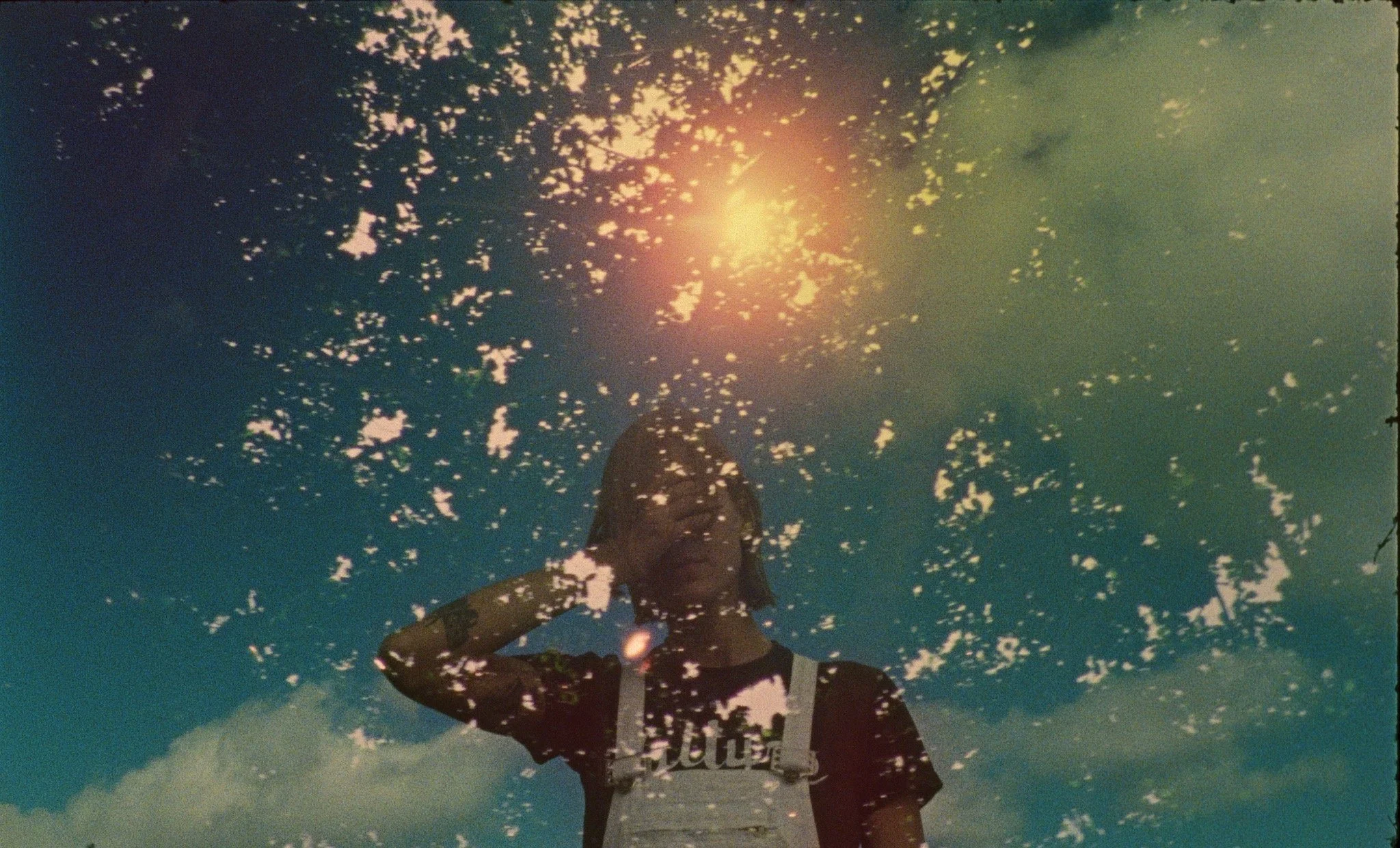 TERRESTRIAL FINAL.Still009.JPG