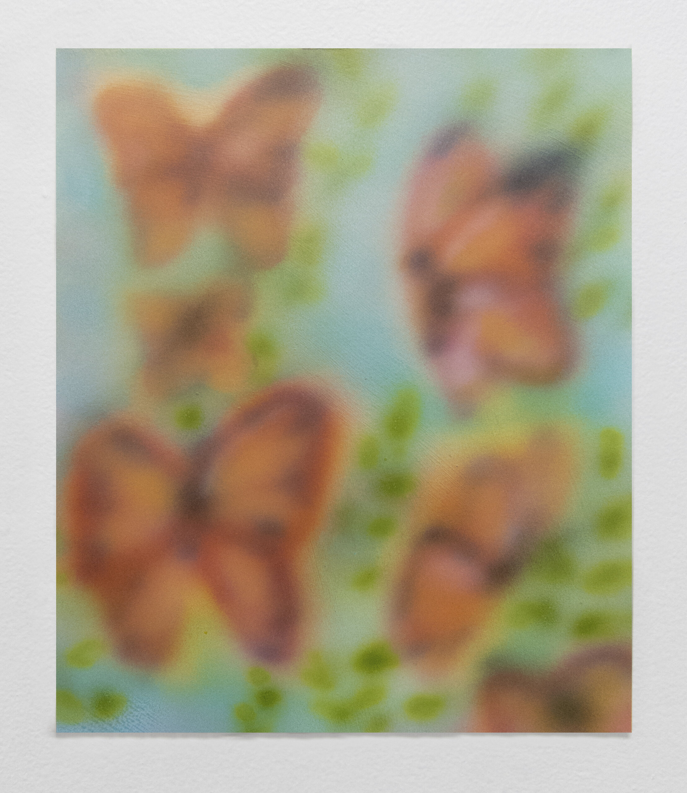 Untitled (Small Butterflies)